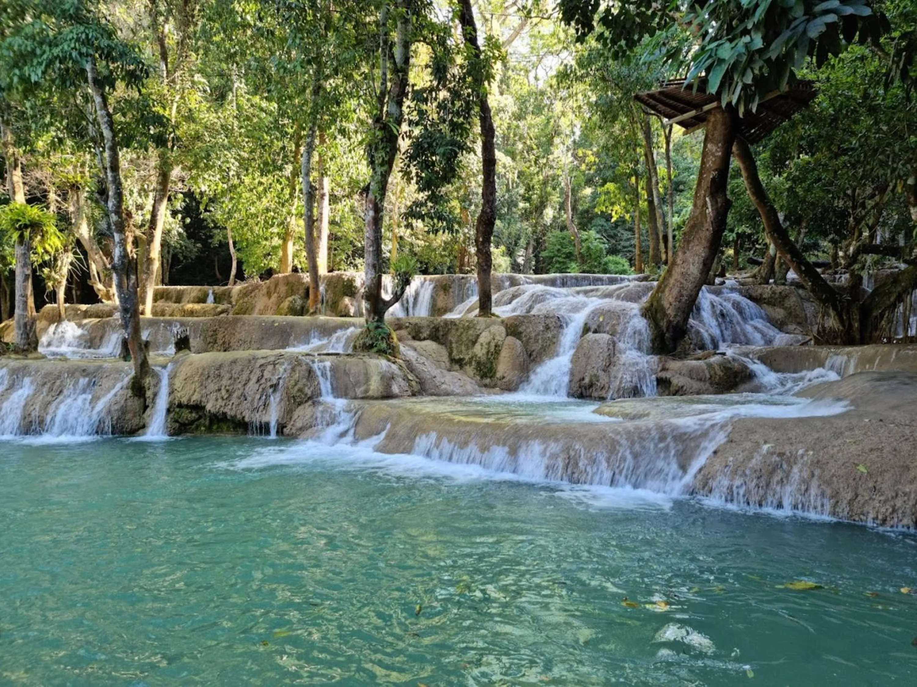 Natural landscape in Muangthong Boutique Hotel