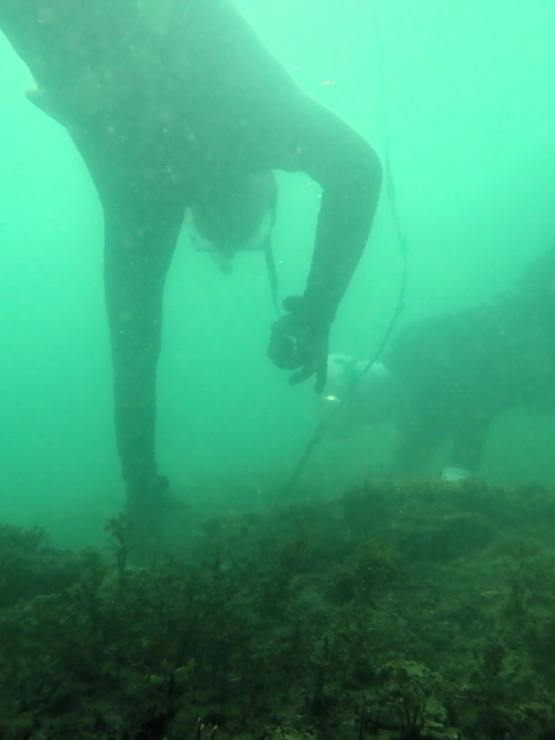 Natural landscape in Kaigetsu