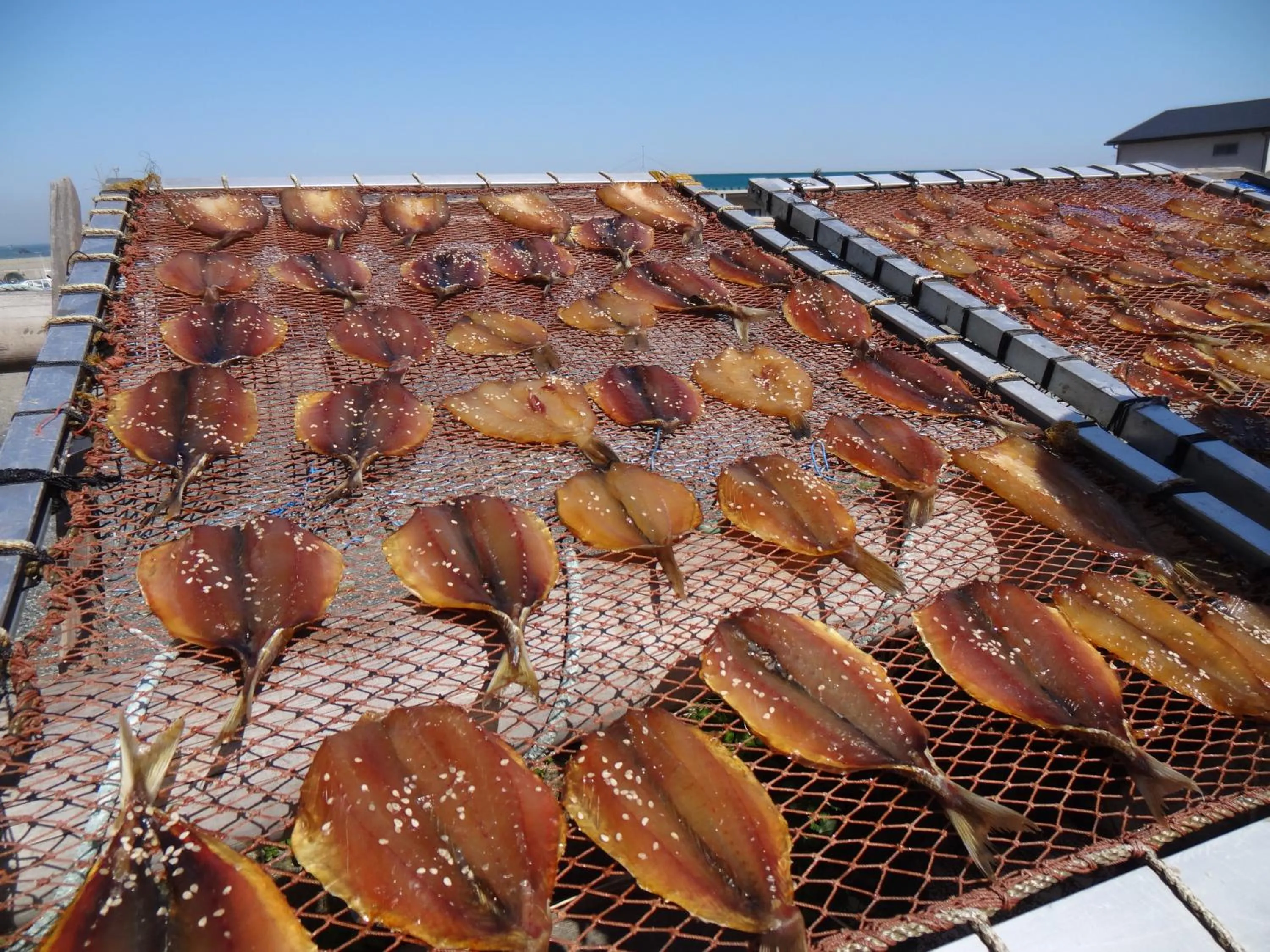 Activities in Kaigetsu