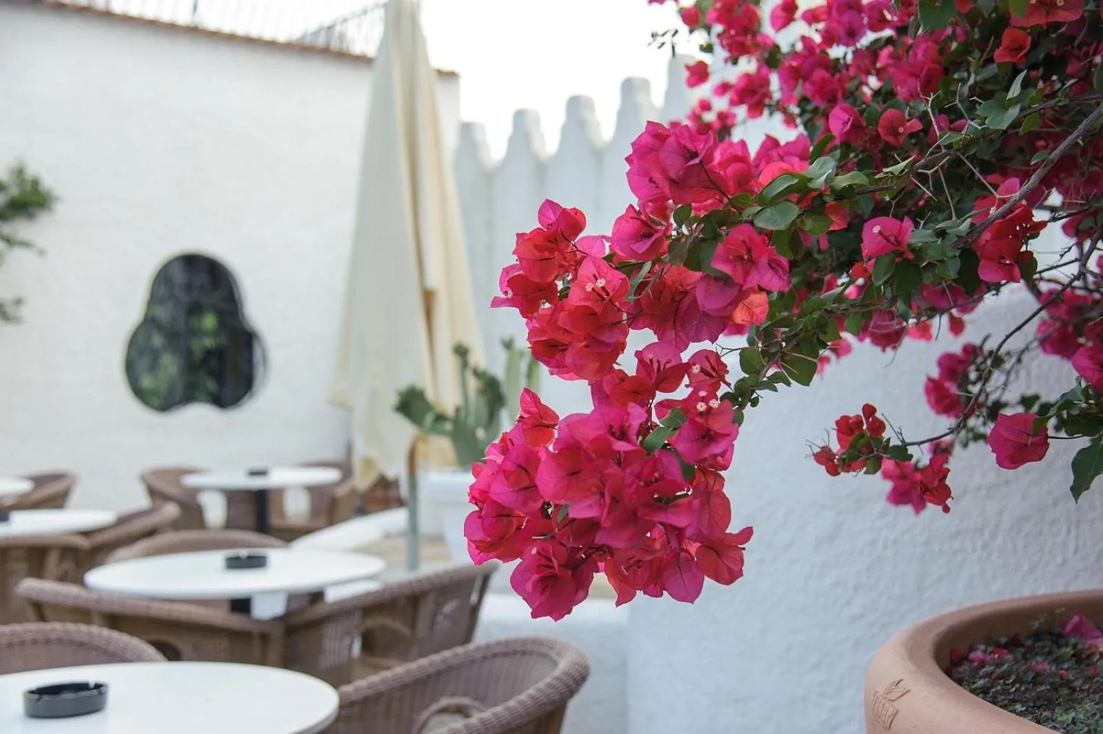 Patio in Baia Delle Zagare - Handwritten Collection