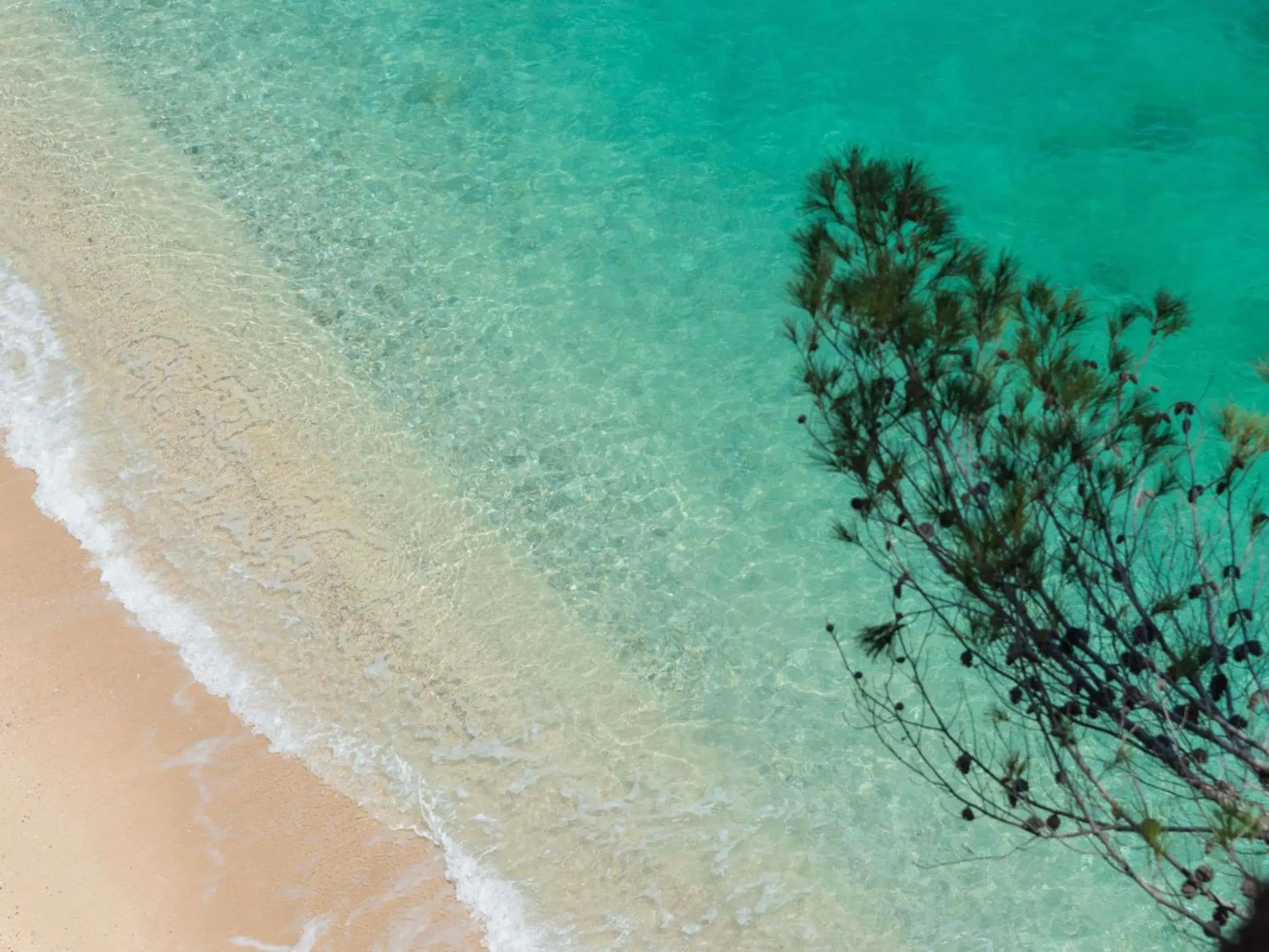 Property building in Baia Delle Zagare - Handwritten Collection Property building in Baia Delle Zagare - Handwritten Collection