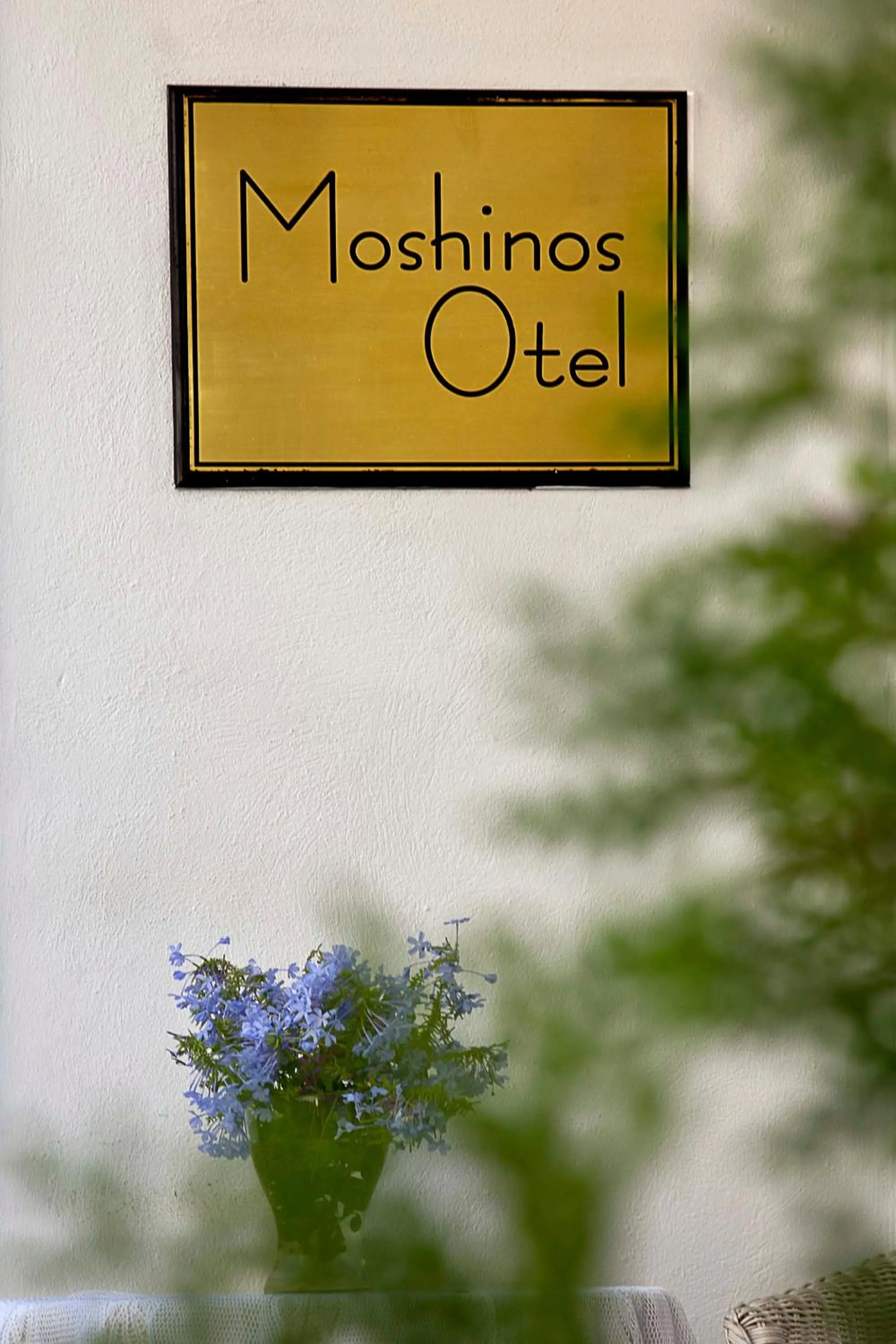 Facade/entrance in Moshinos Hotel