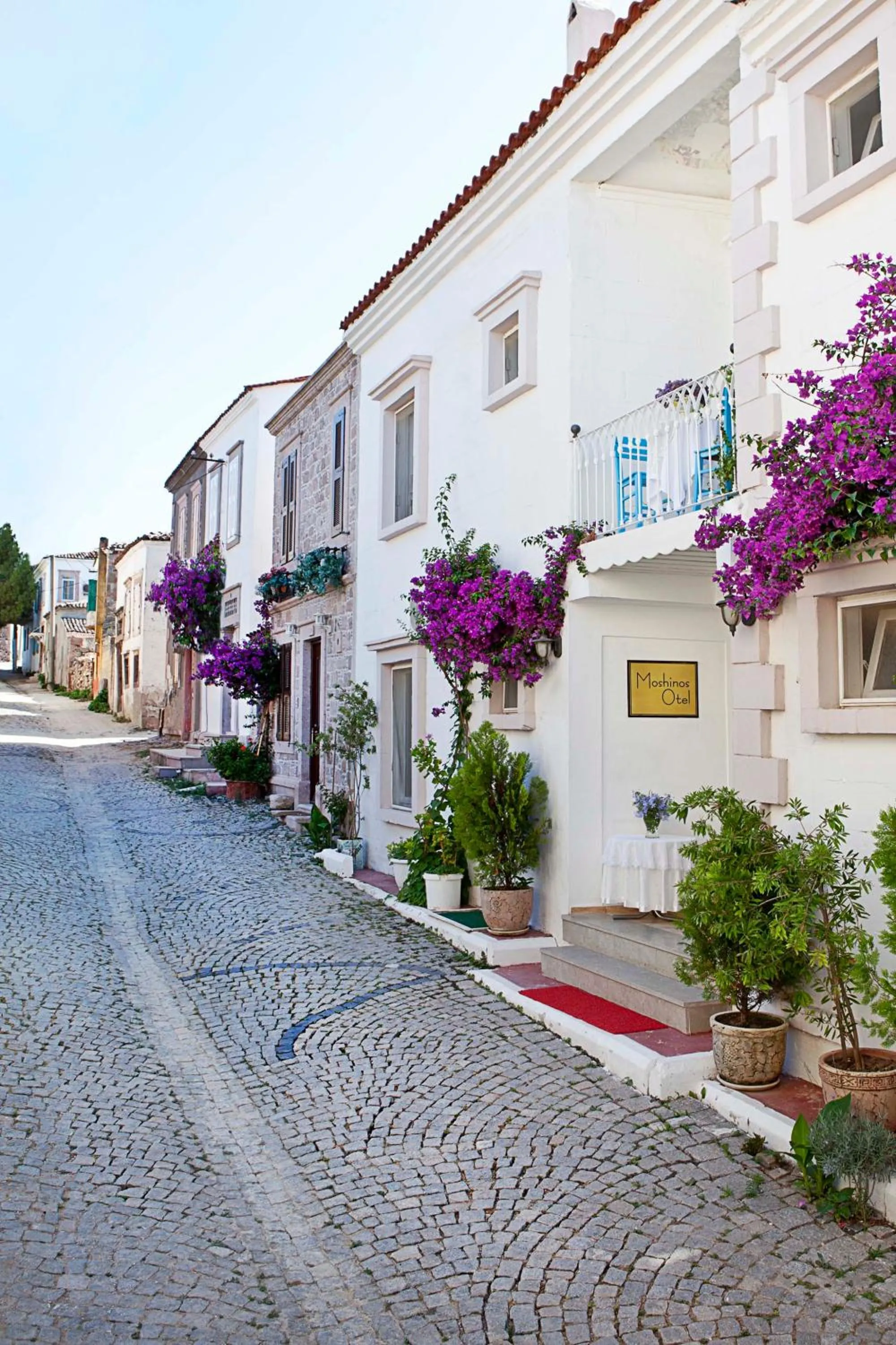 Facade/entrance in Moshinos Hotel