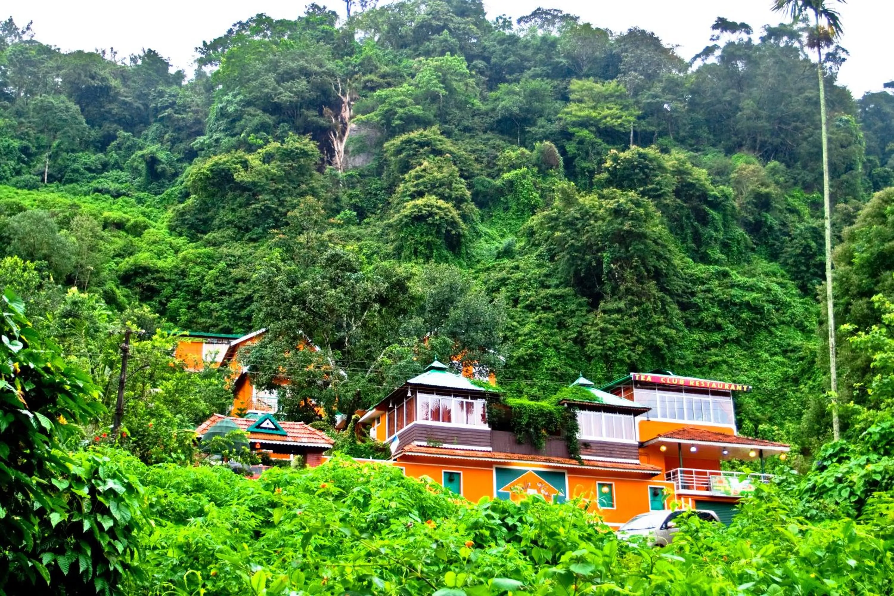 Bellavista Resort Munnar