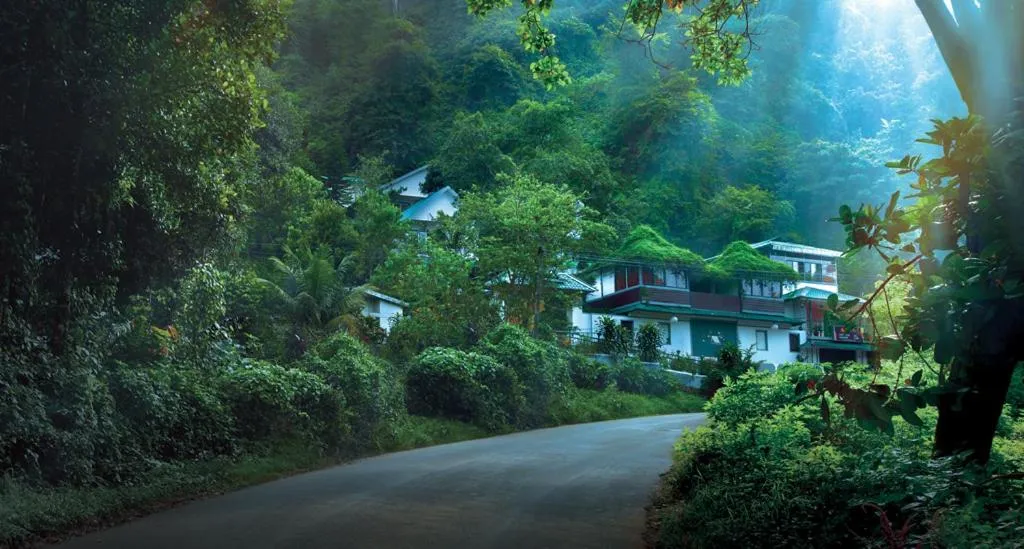 Bellavista Resort Munnar