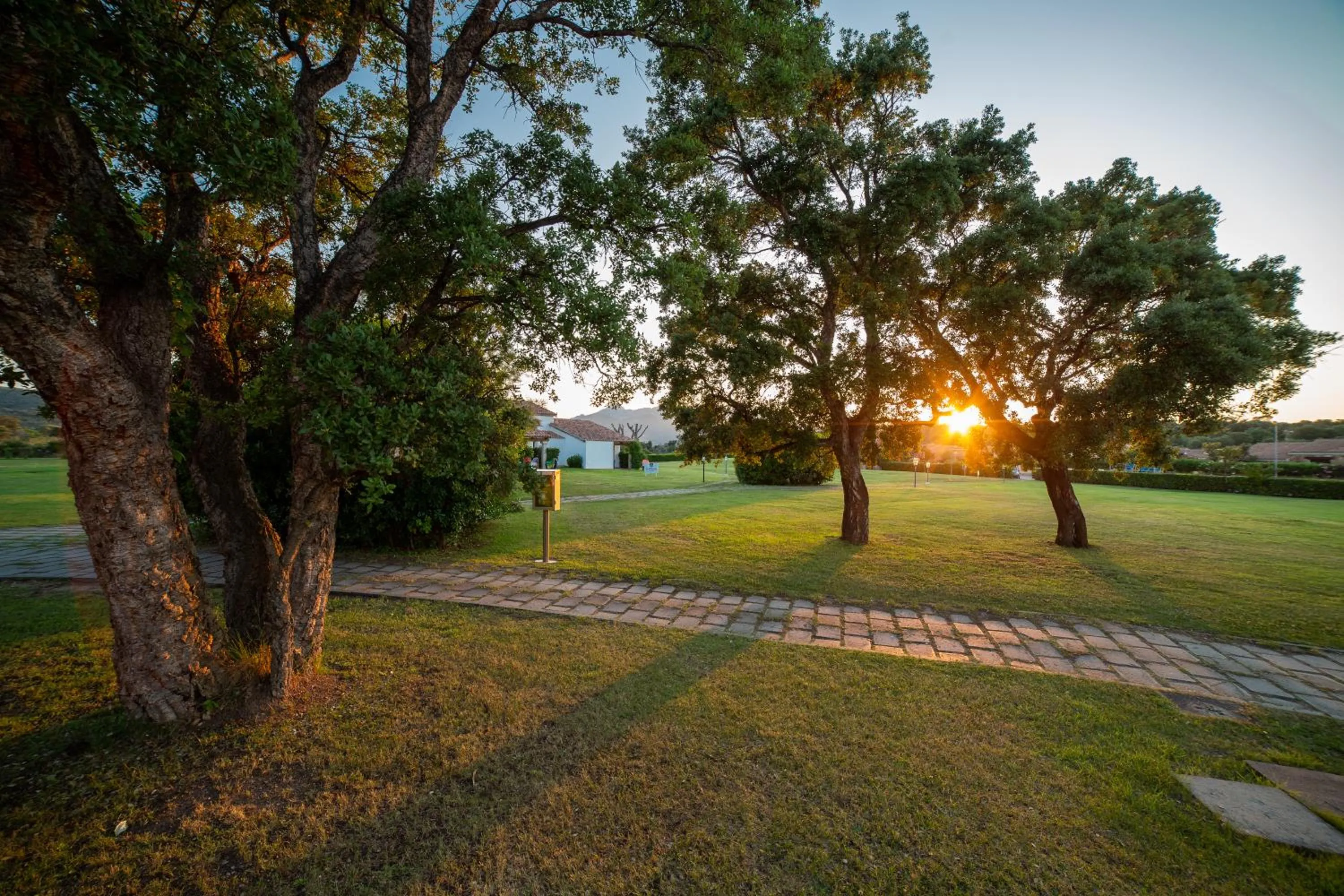 Garden in TH San Teodoro - Liscia Eldi Village