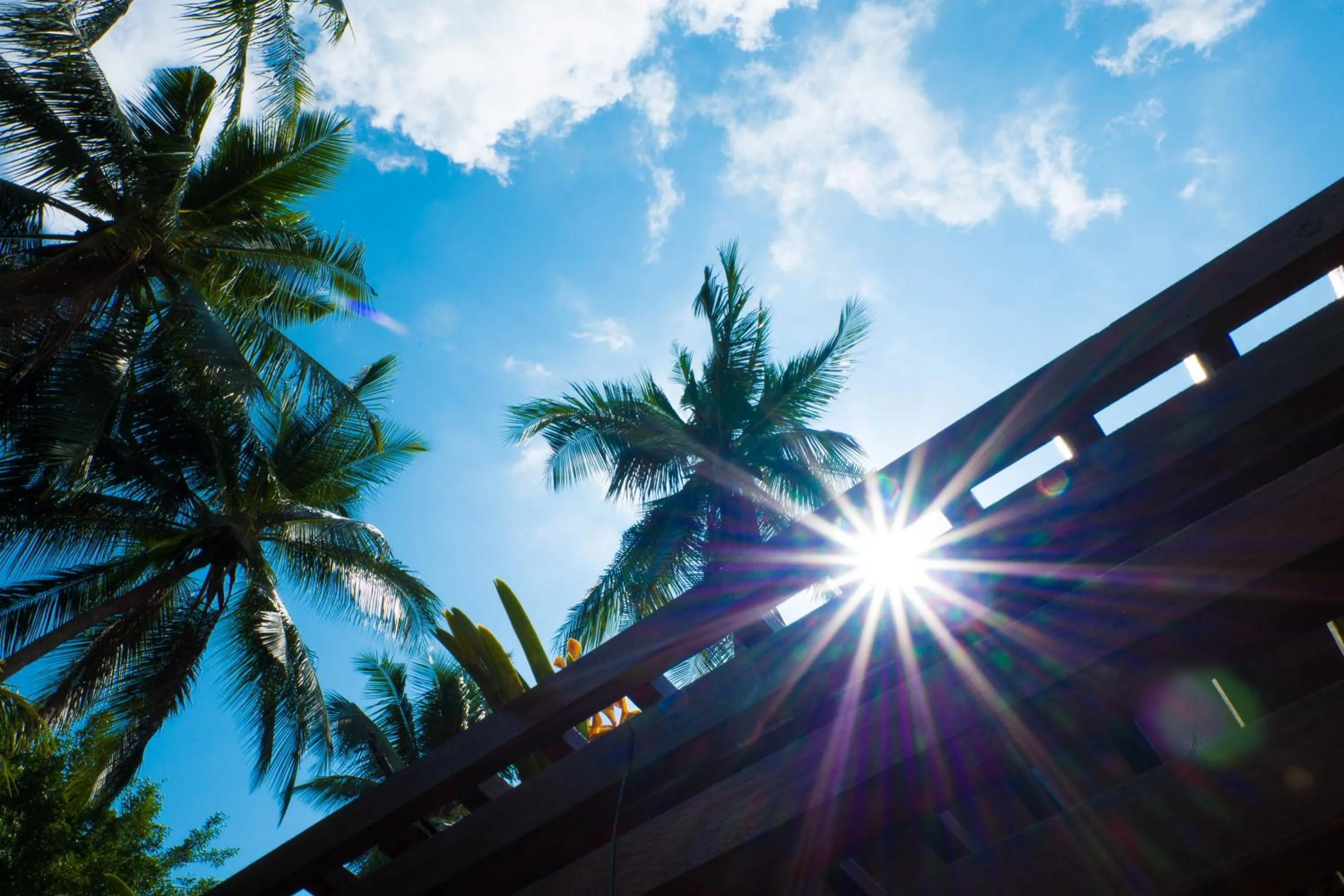 Decorative detail in Cyana Resort