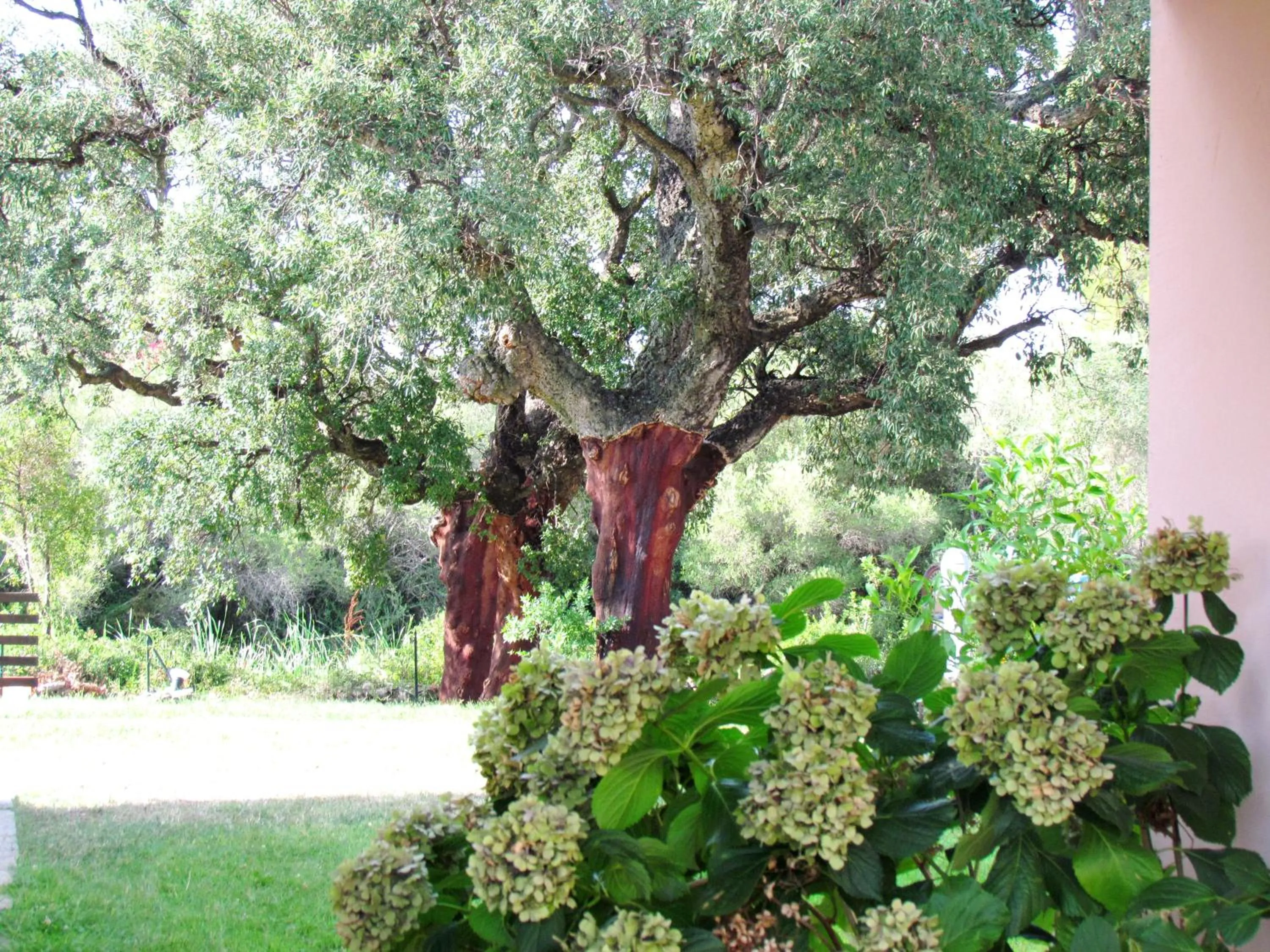 Garden in Li Suari Club Village