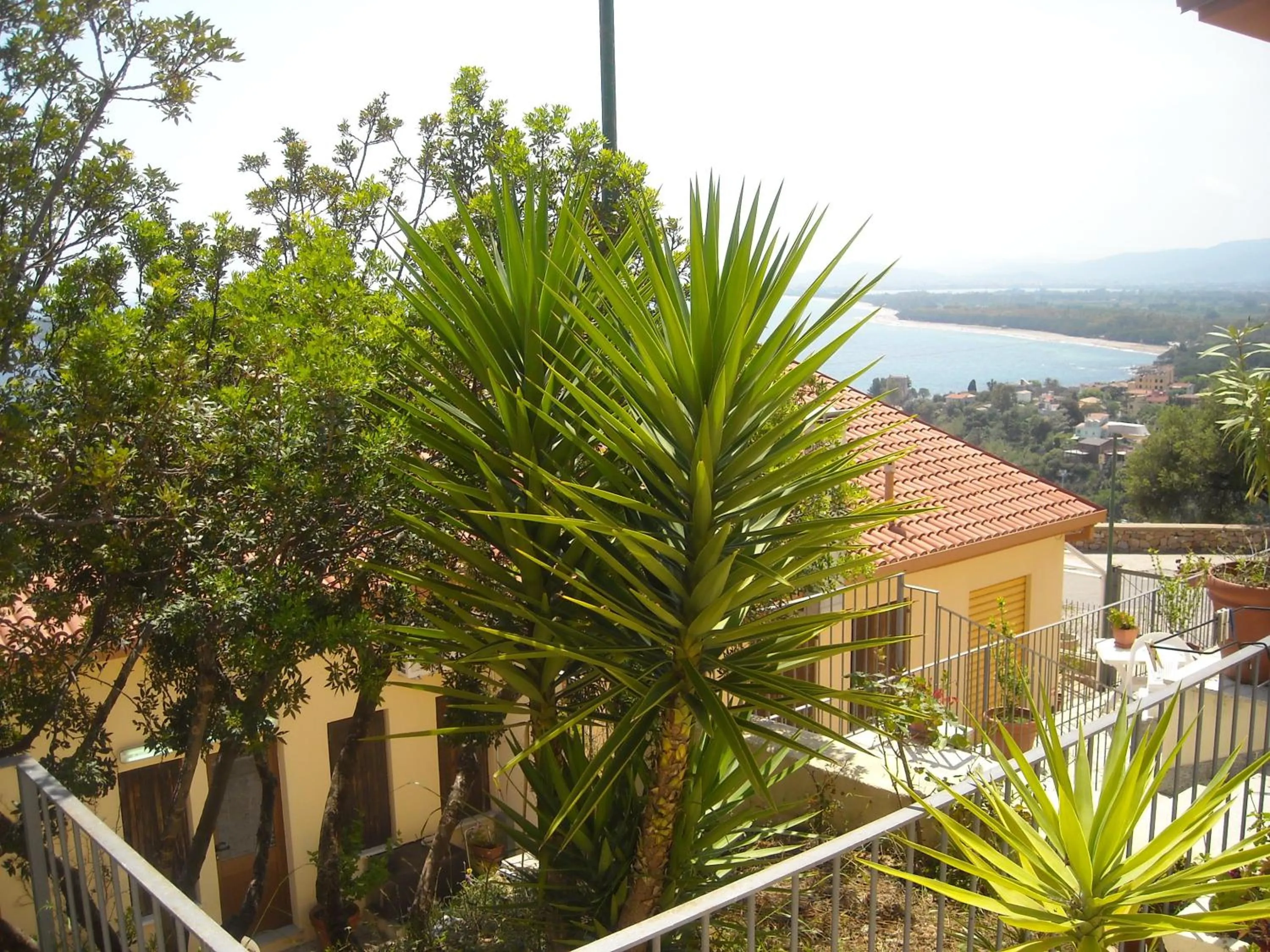 Garden in Ostello Bellavista