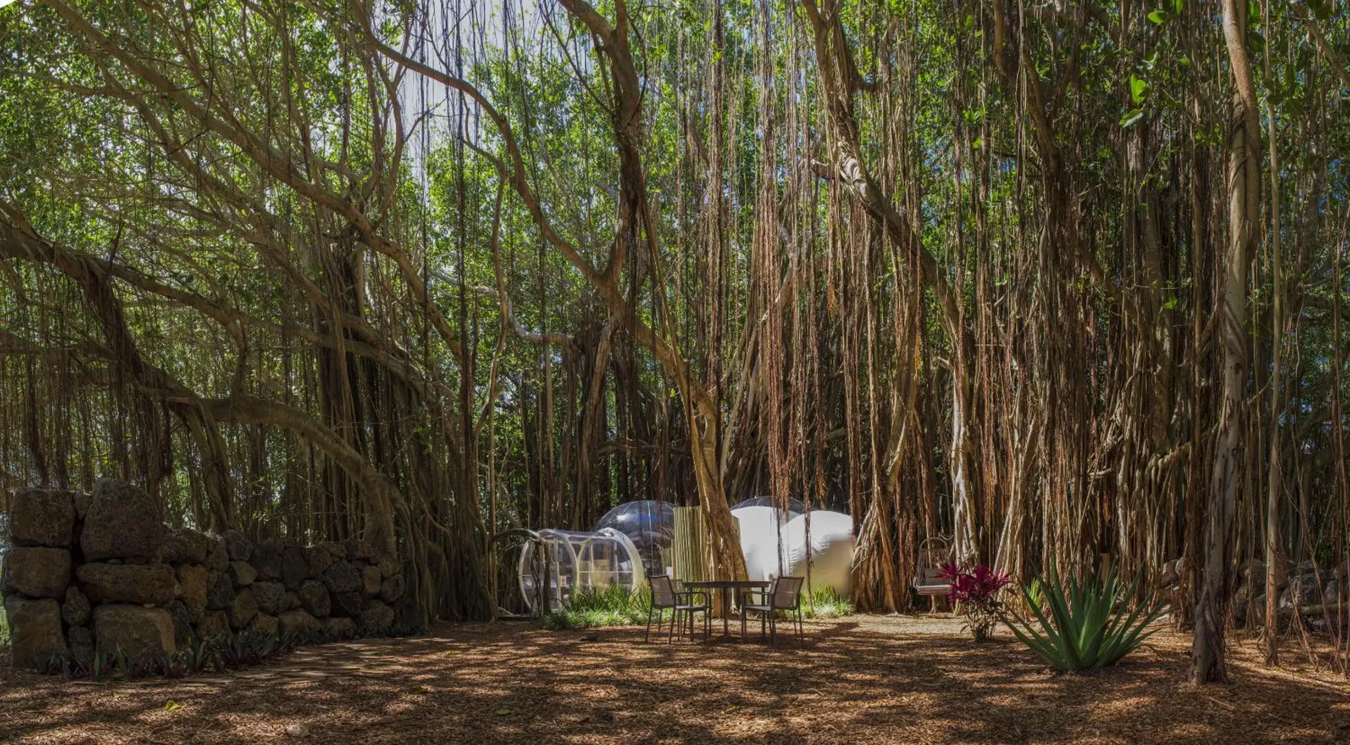 Facade/entrance in Bubble Lodge Ile aux Cerfs Island Facade/entrance in Bubble Lodge Ile aux Cerfs Island