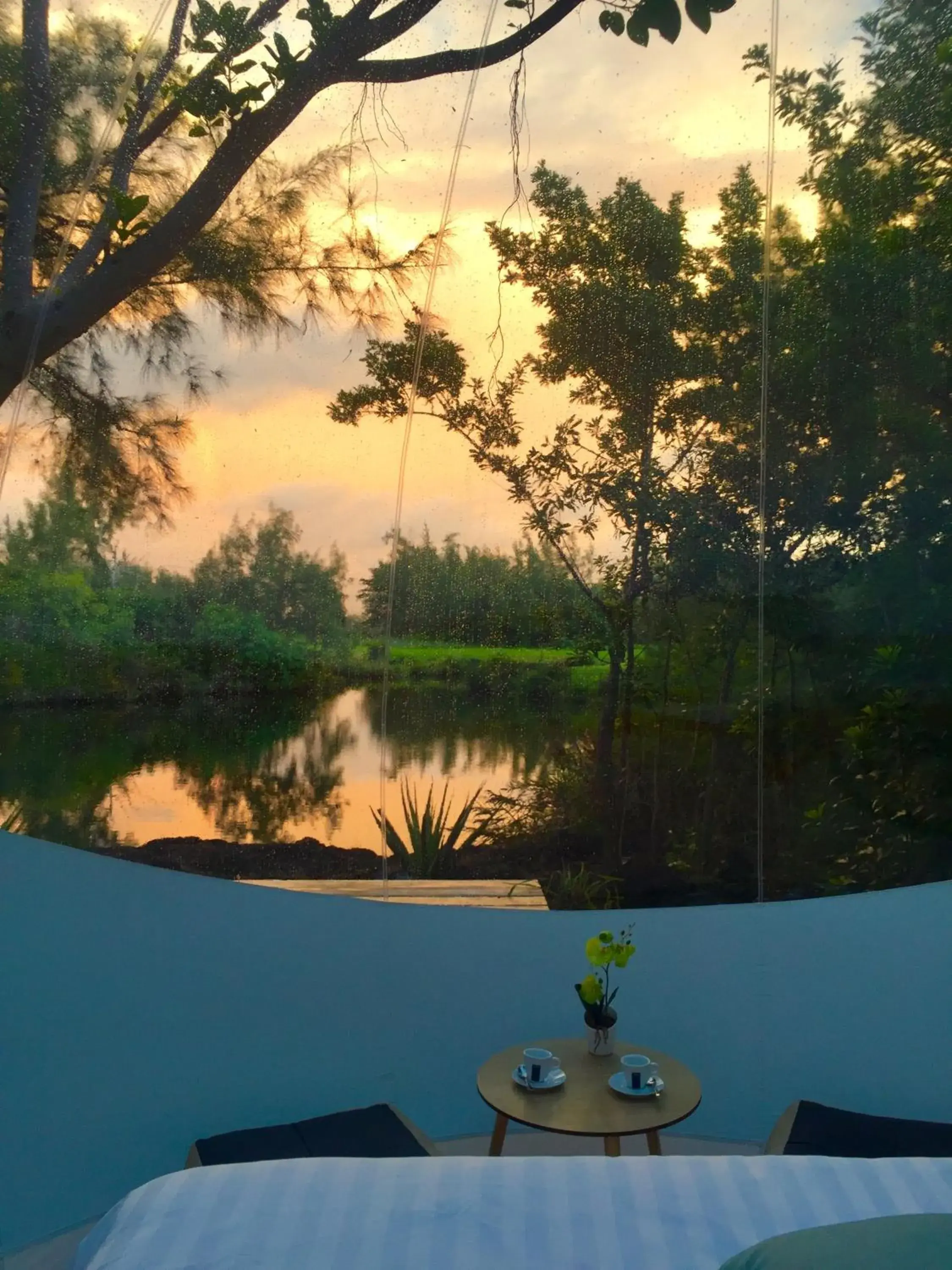 Lake view in Bubble Lodge Ile aux Cerfs Island Lake view in Bubble Lodge Ile aux Cerfs Island