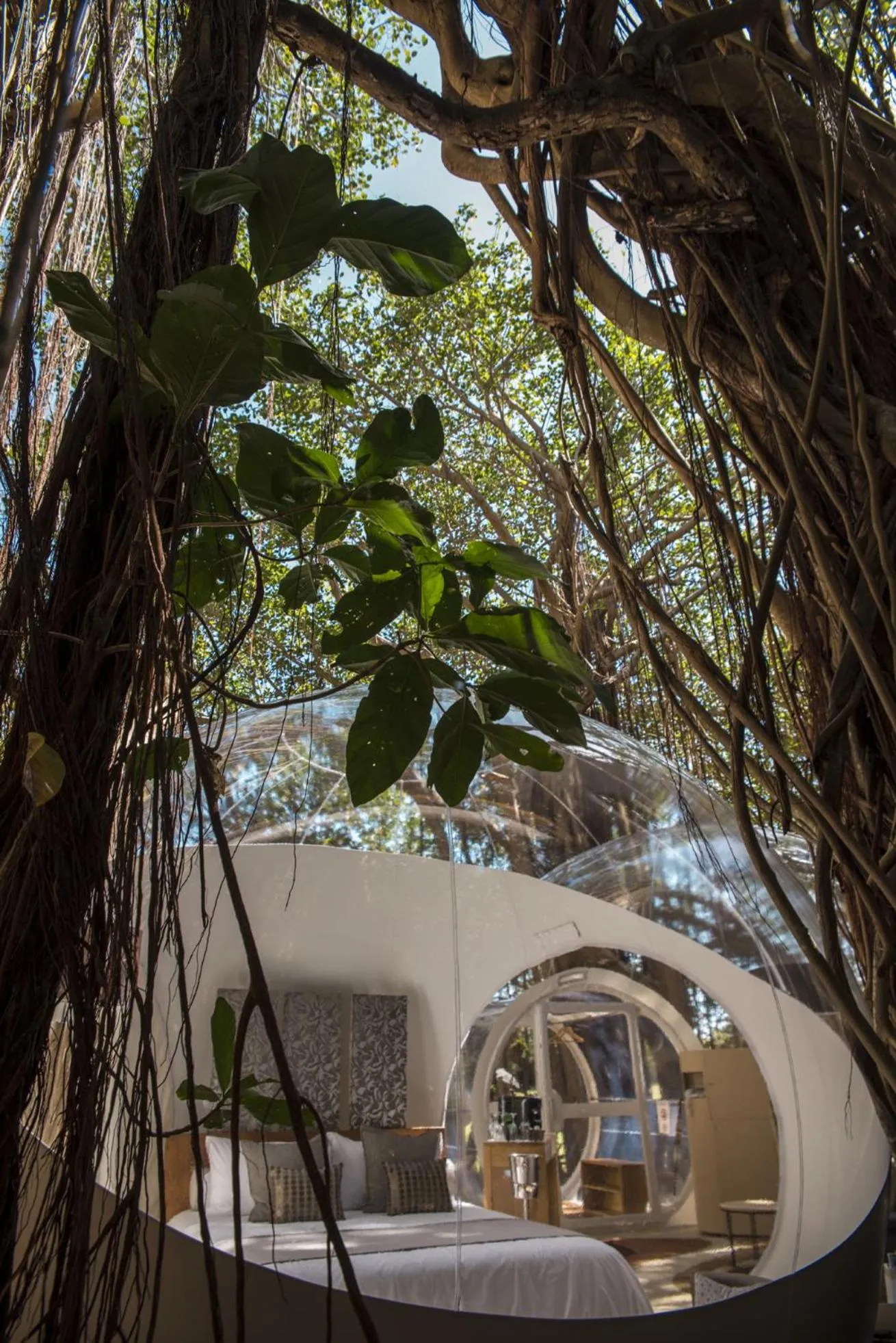 Bed in Bubble Lodge Ile aux Cerfs Island