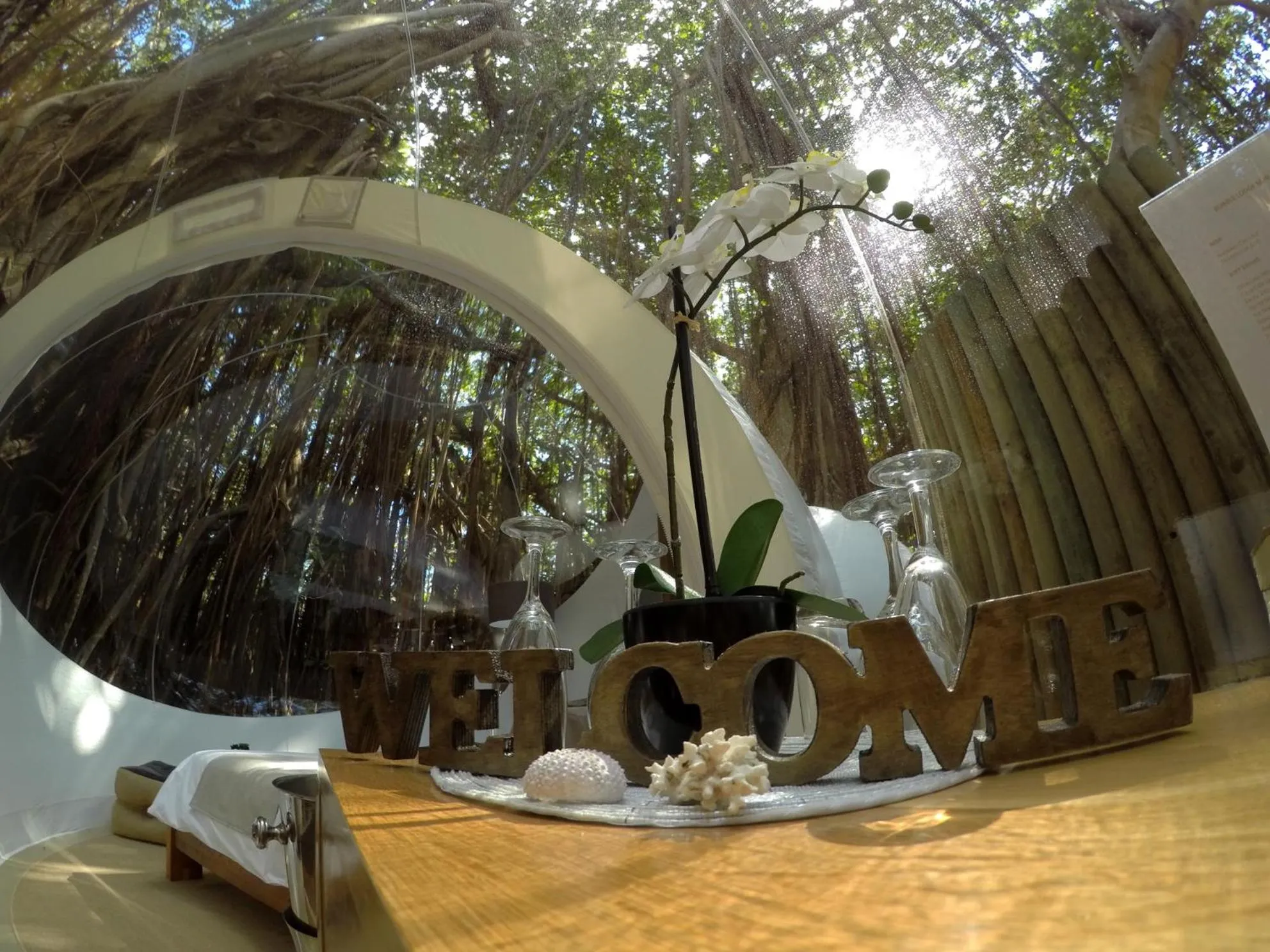 Bedroom in Bubble Lodge Ile aux Cerfs Island