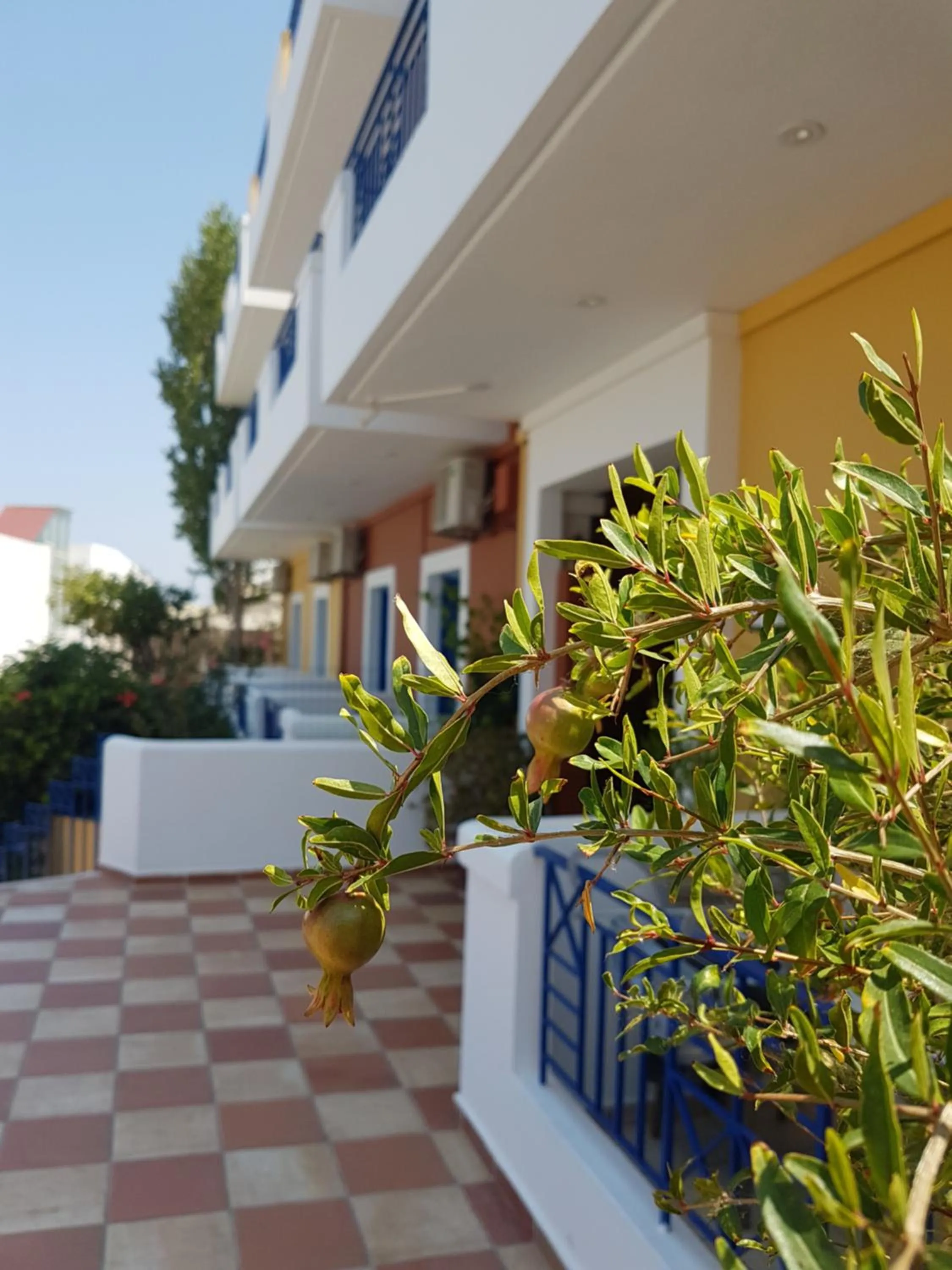 Garden view in Astra Village & Suites