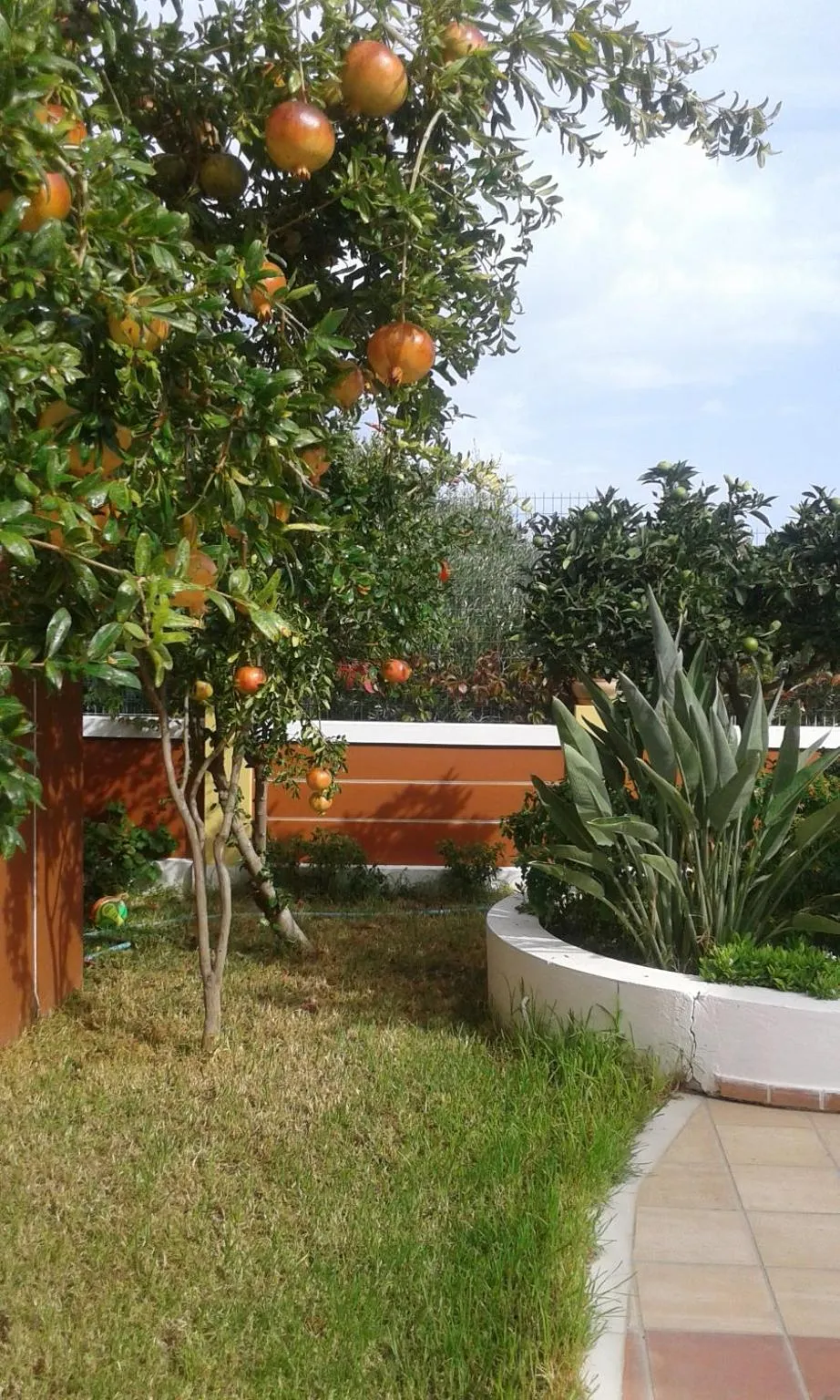 Garden view in Astra Village & Suites