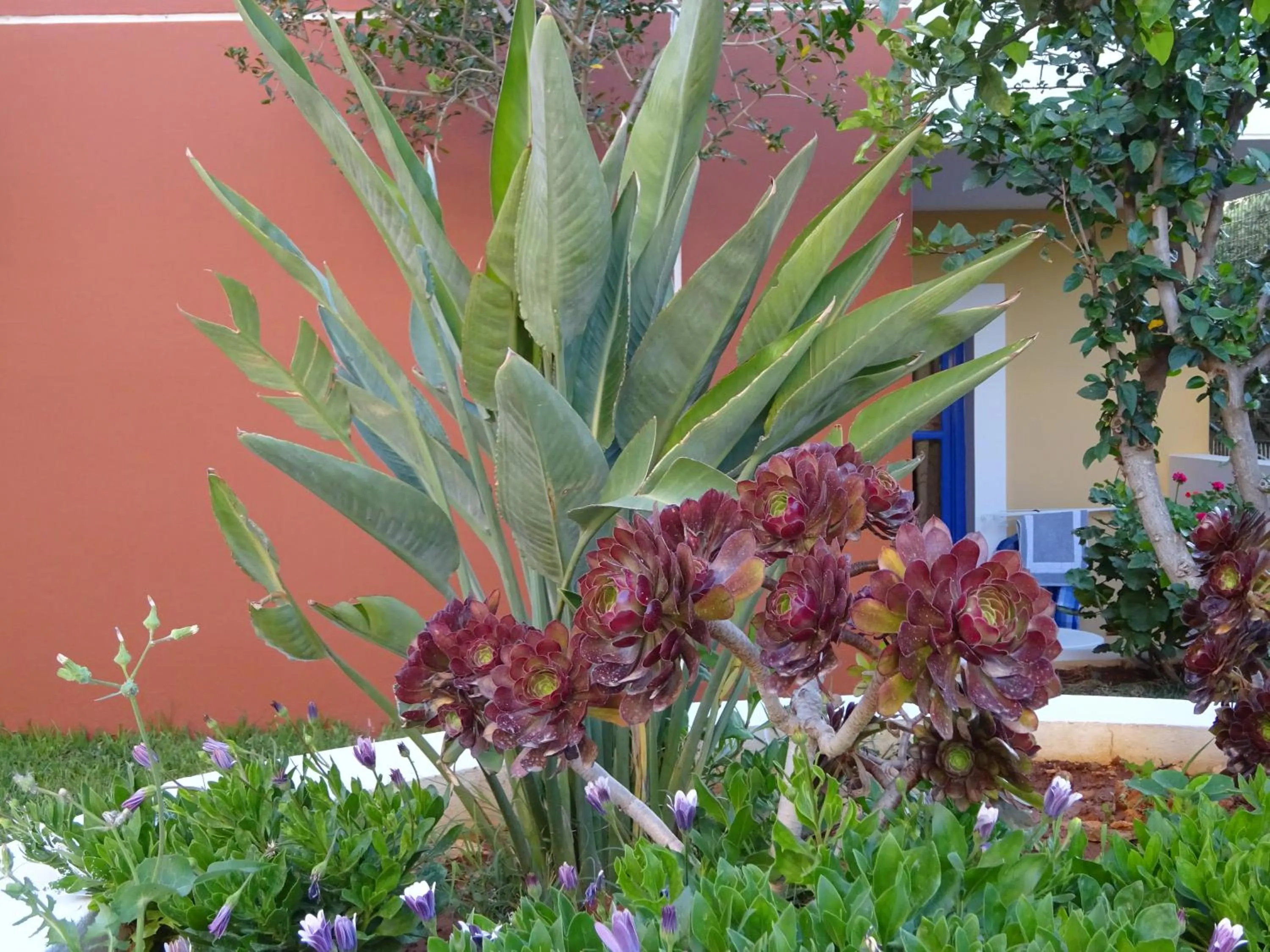 Garden view in Astra Village & Suites