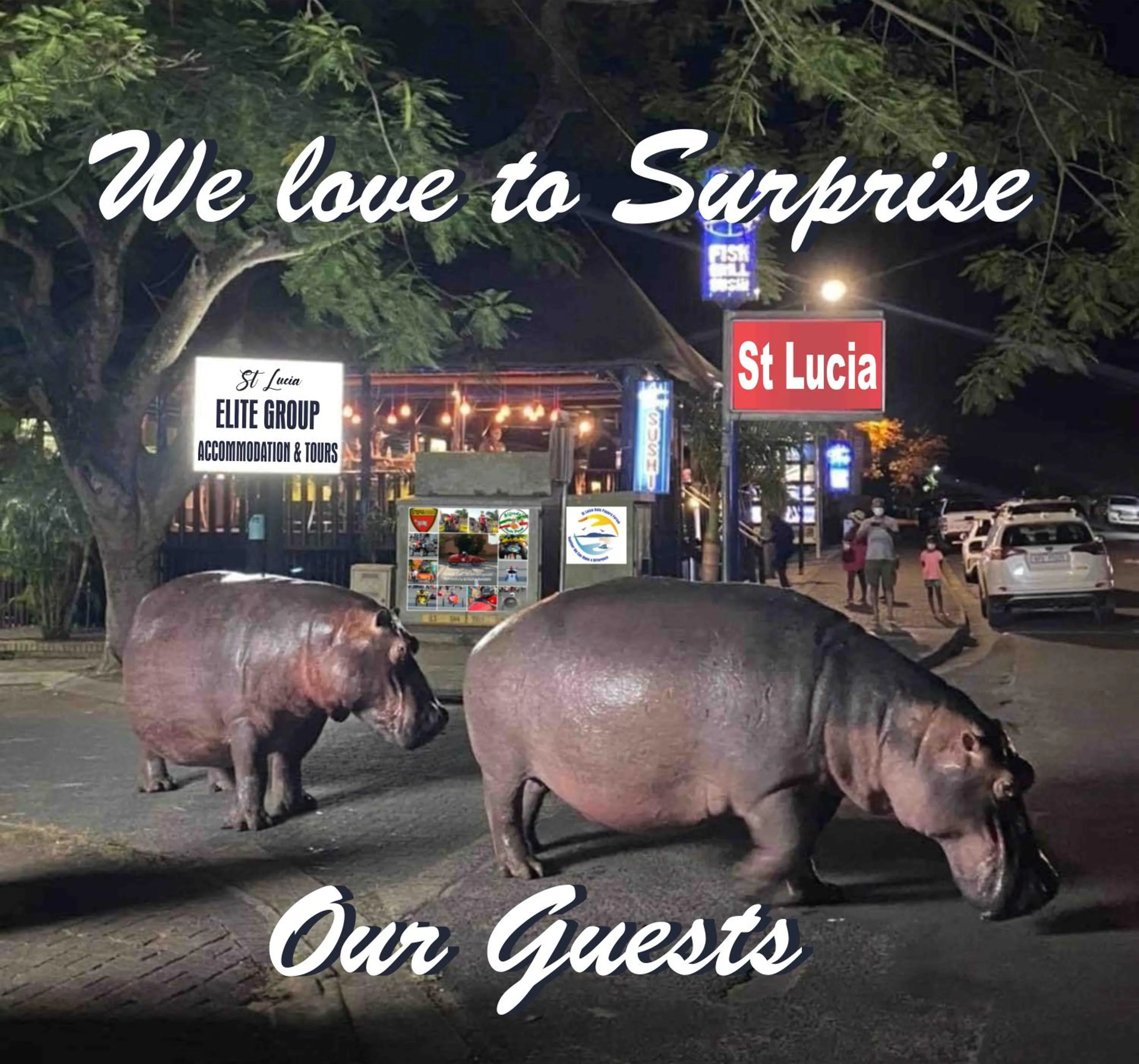 Animals in Ndiza Lodge and Cabanas