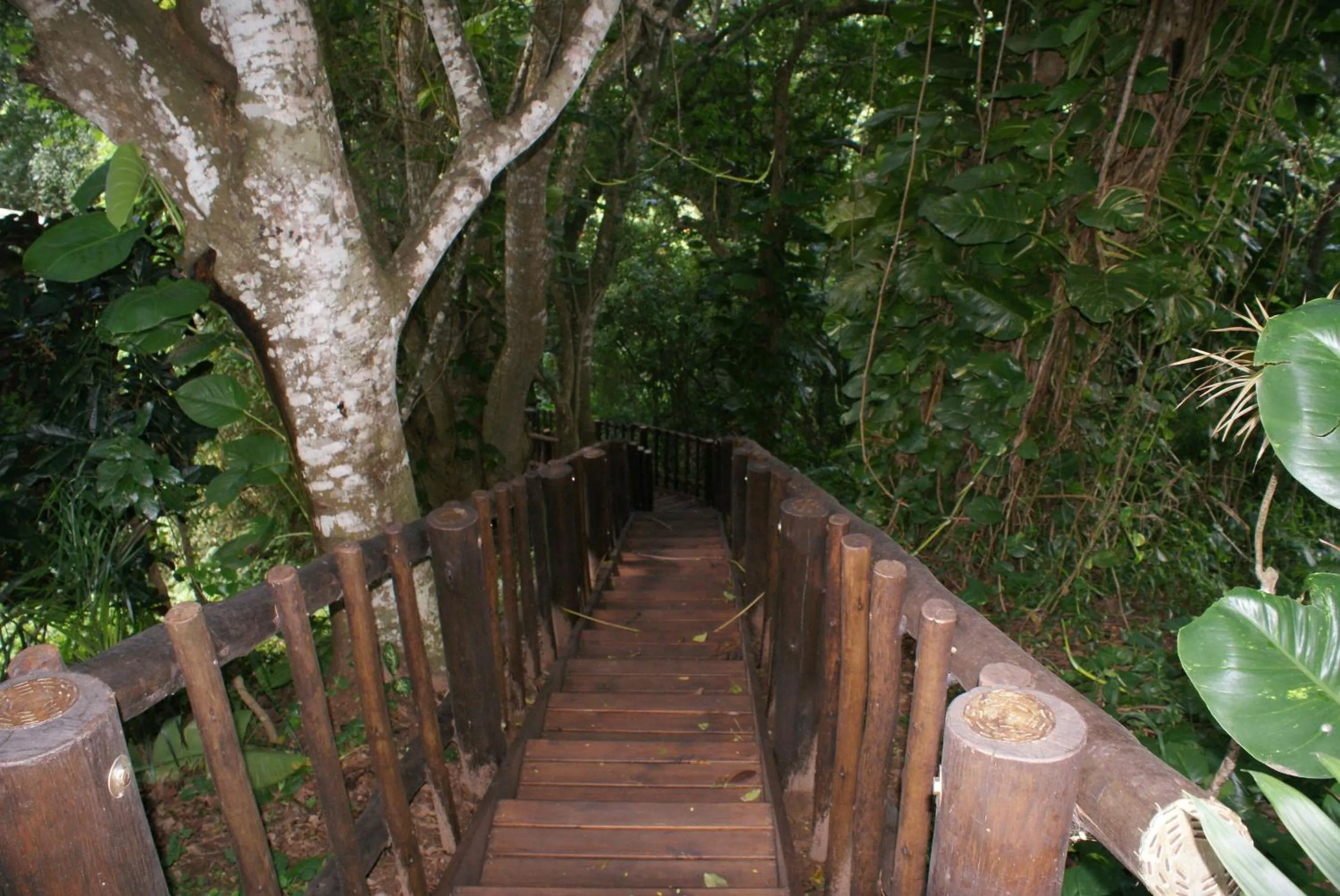 Area and facilities in Ndiza Lodge and Cabanas