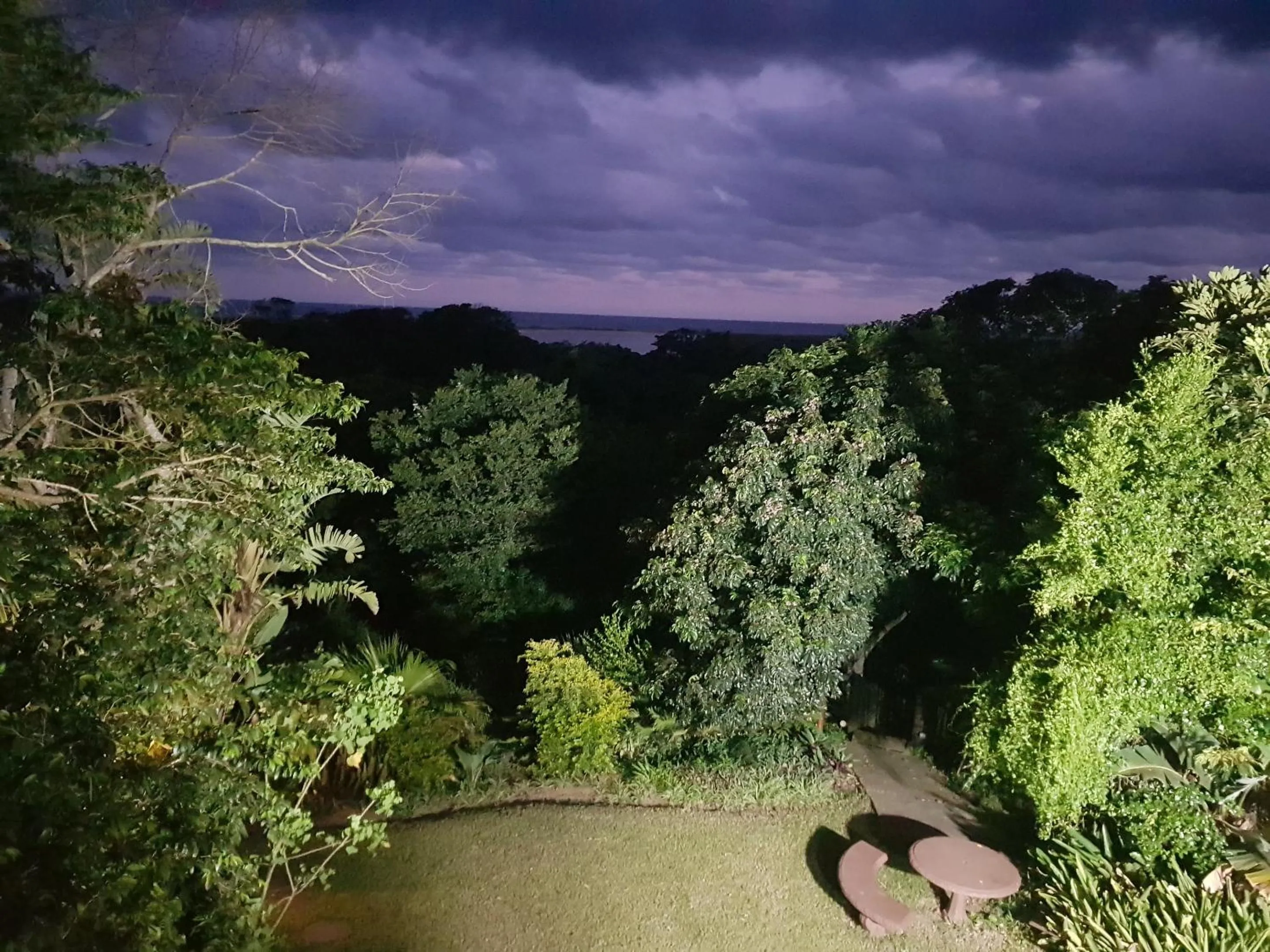 Garden view in Ndiza Lodge and Cabanas