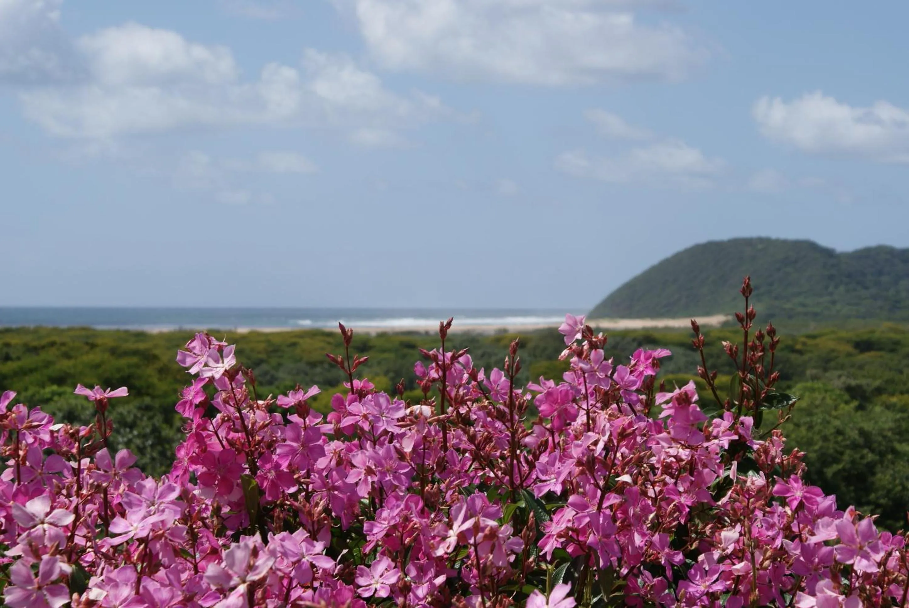 Sea view in Ndiza Lodge and Cabanas