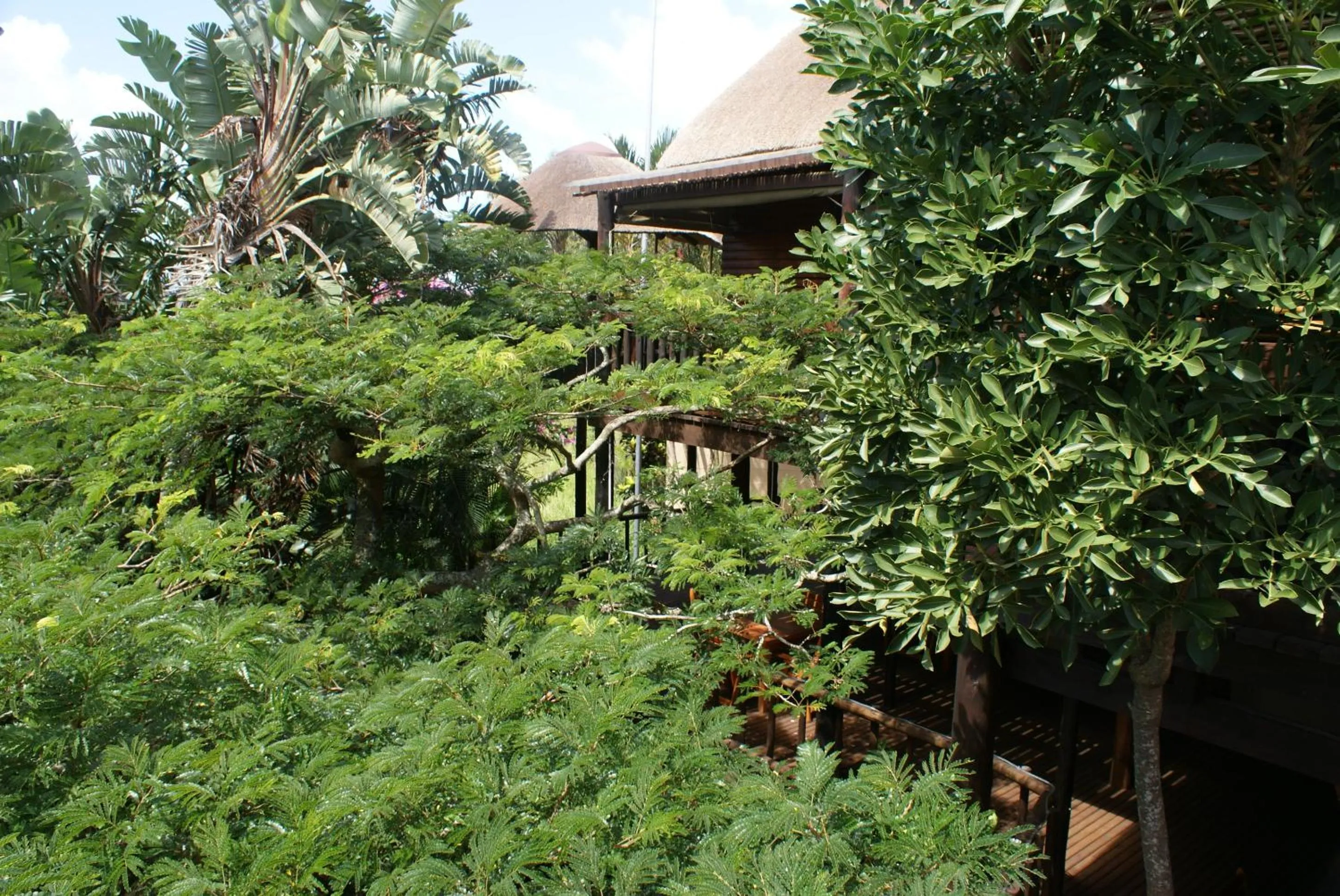 Facade/entrance in Ndiza Lodge and Cabanas