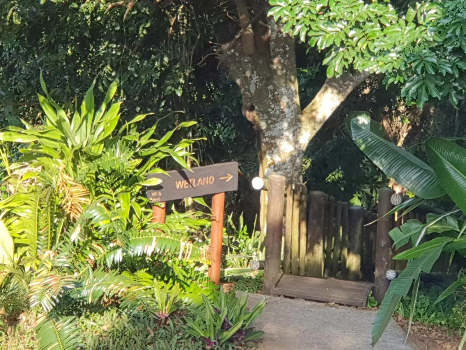 Garden in Ndiza Lodge and Cabanas