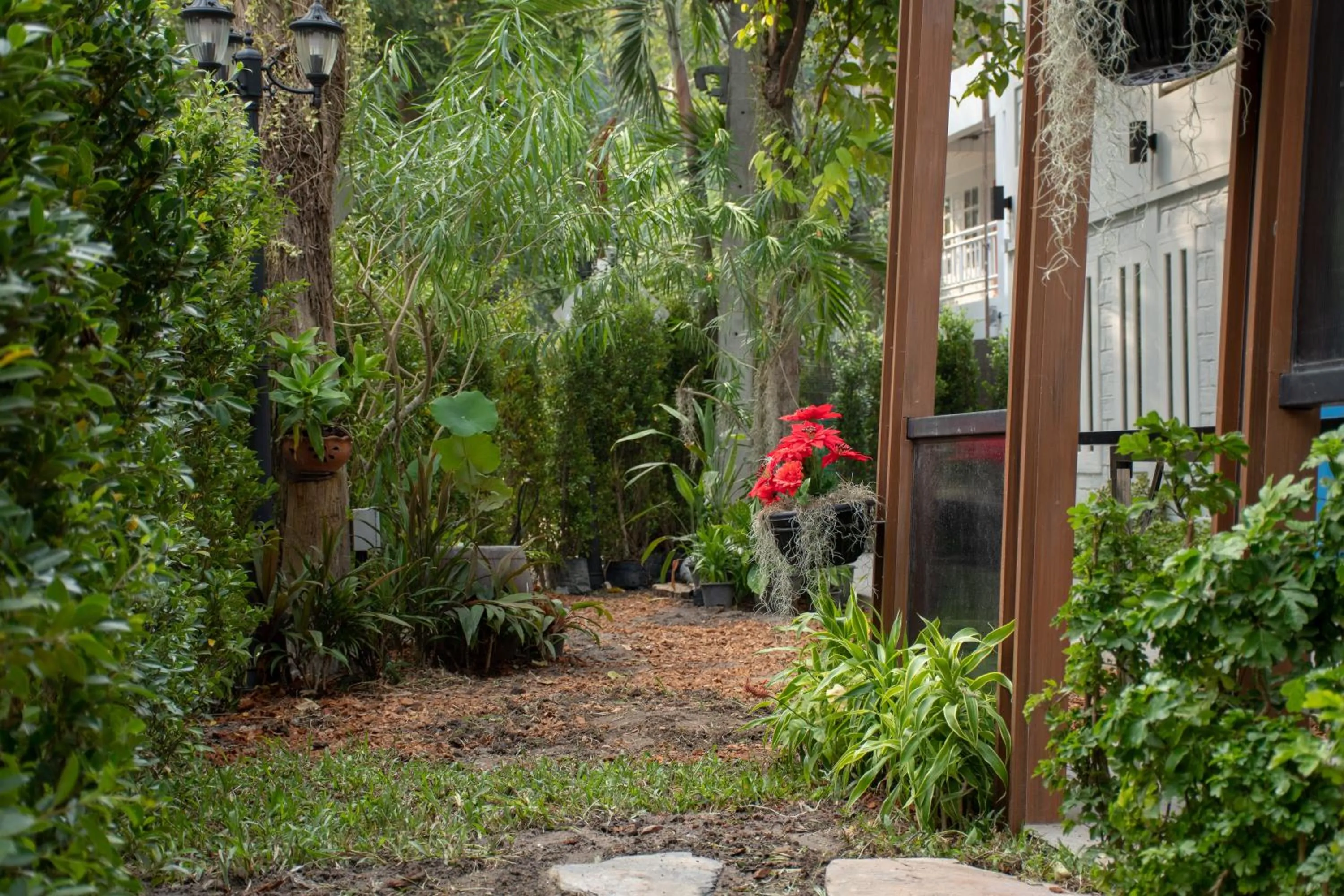 Garden in Lazy Sandals