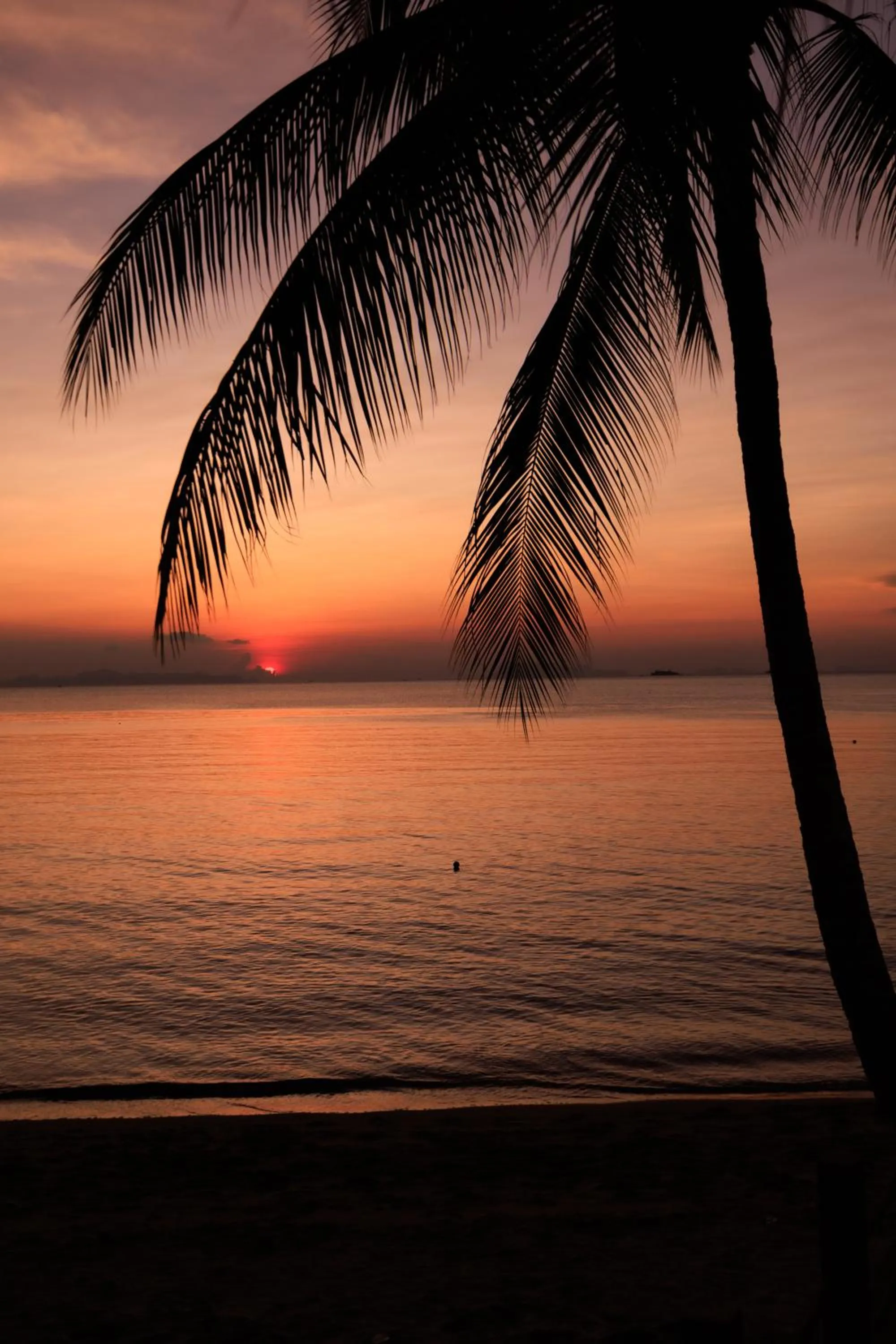 Sunset in Nikki Beach Resort & Spa Koh Samui