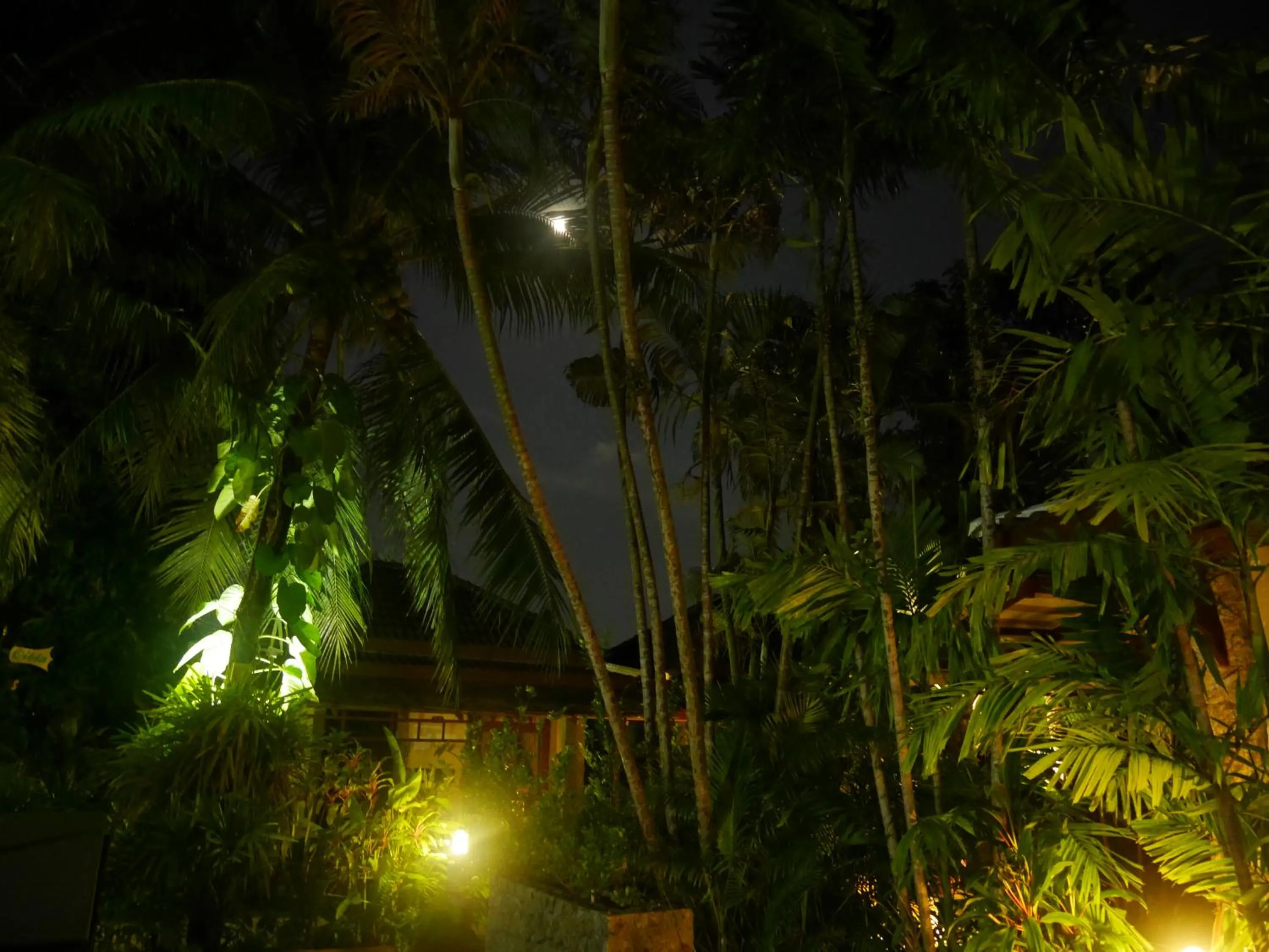 Night in Bangtao Beach Chalet Resort