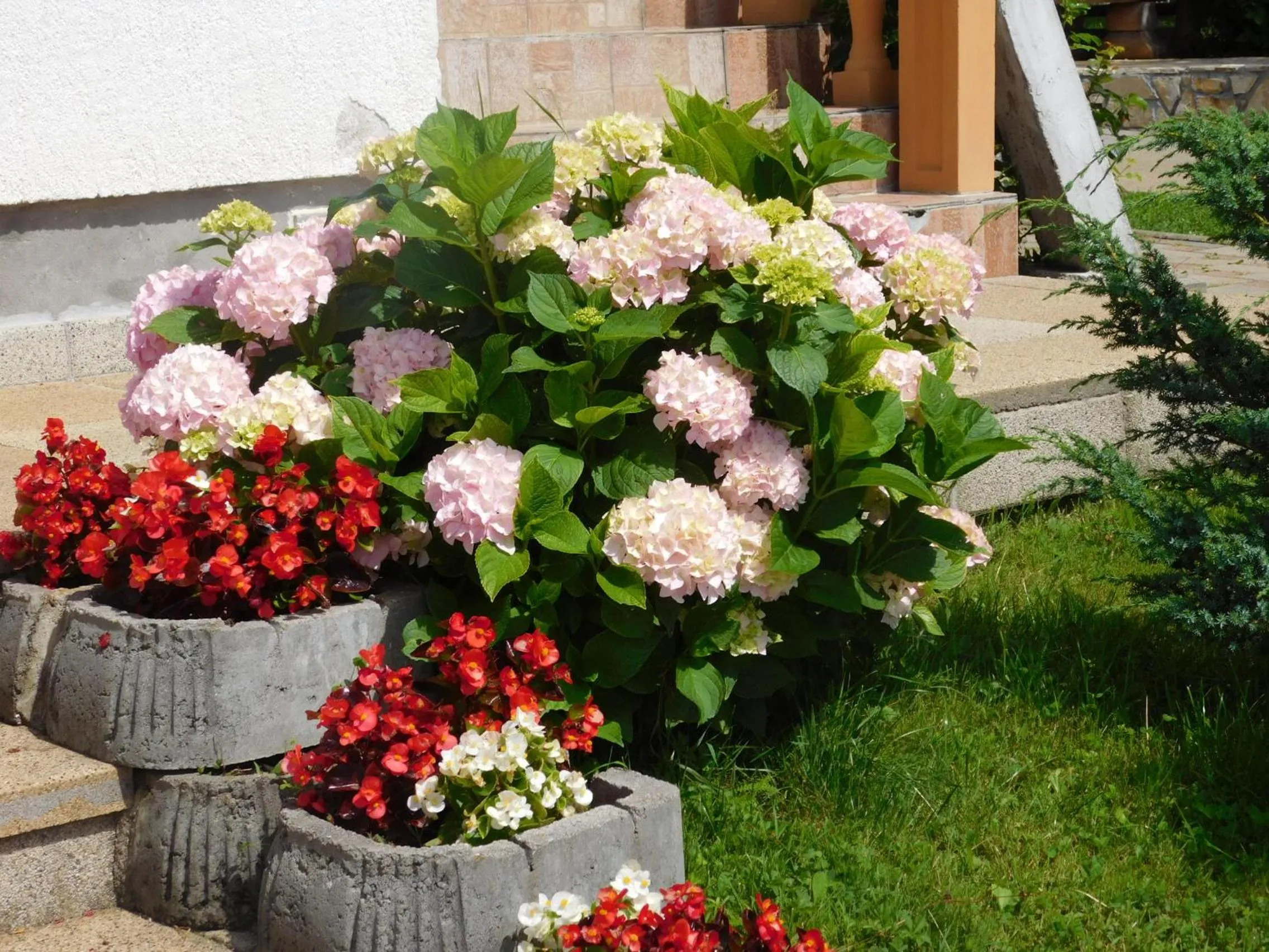 Spring in Guesthouse Sara