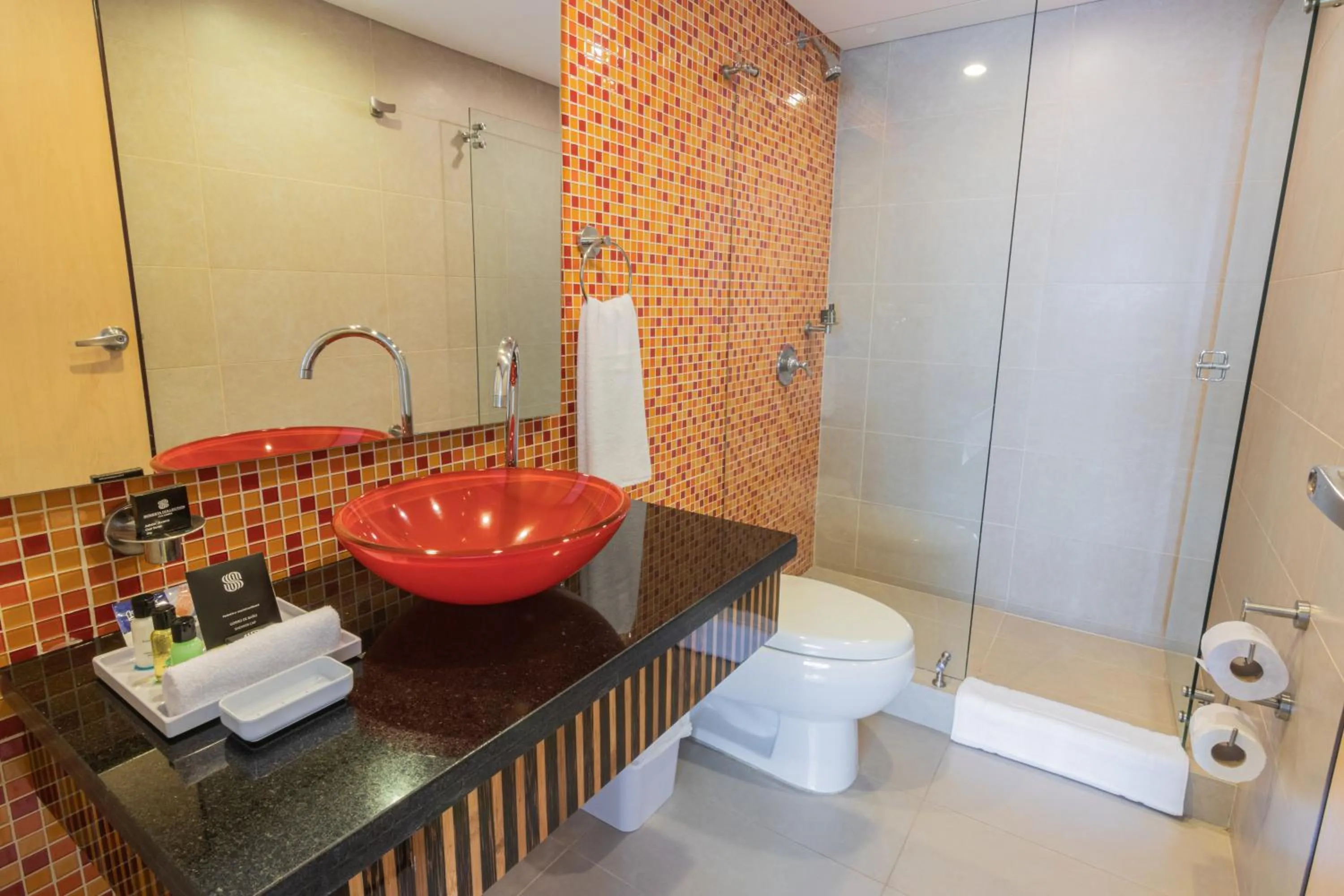 Shower in Sonesta Hotel Cali