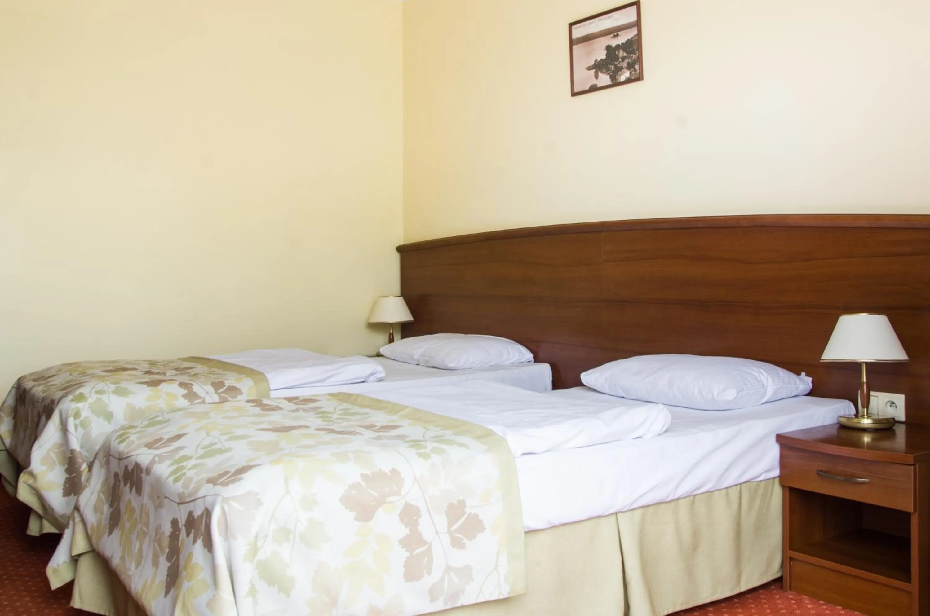 Bed in Hotel Barlinek