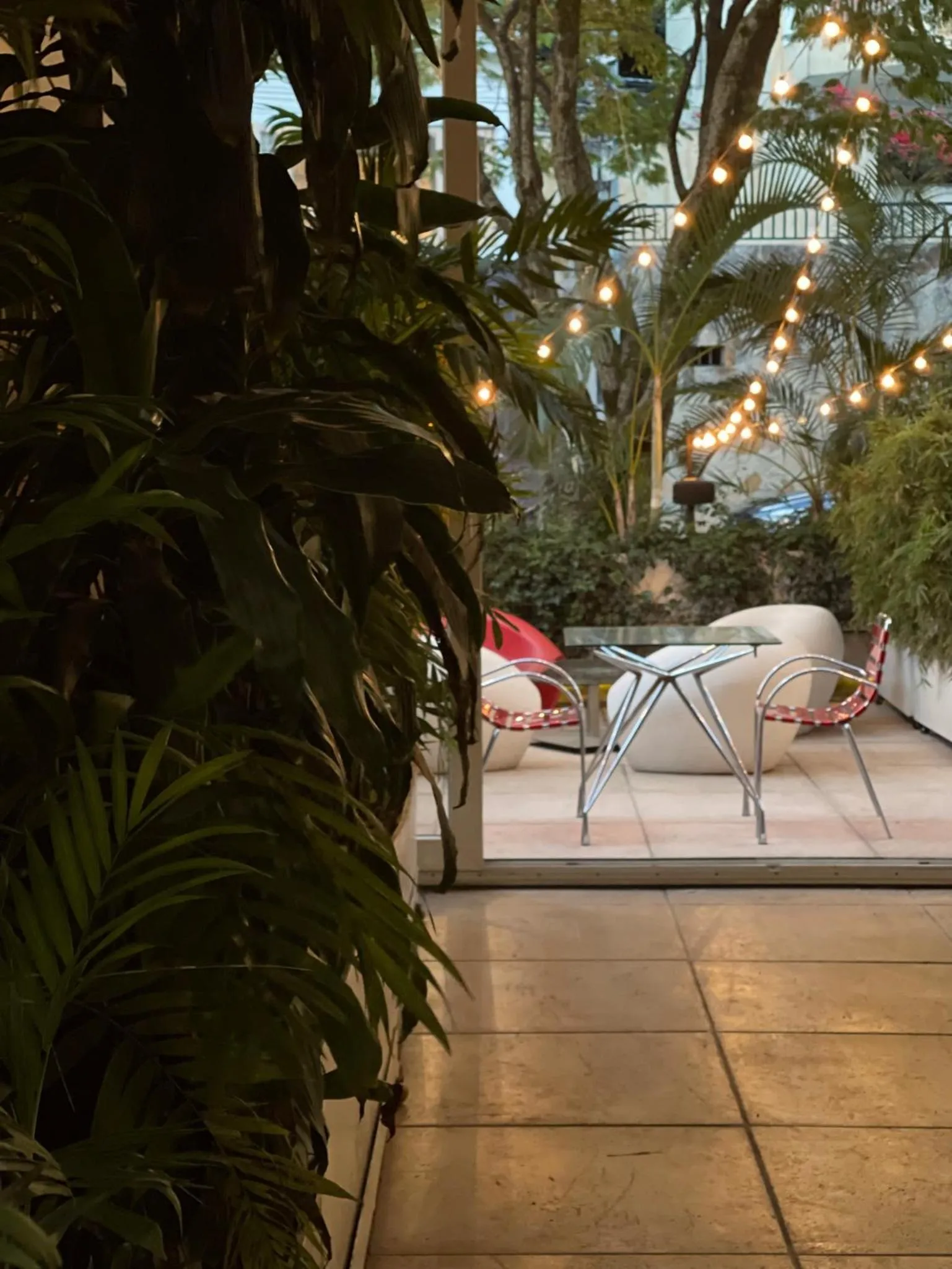 Garden view in Now Hotel Cali