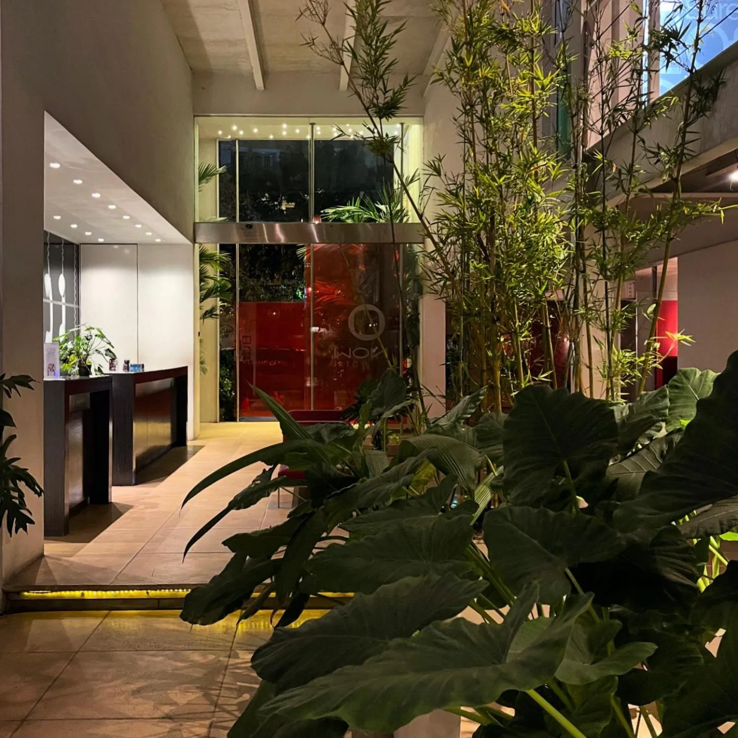 Garden view in Now Hotel Cali