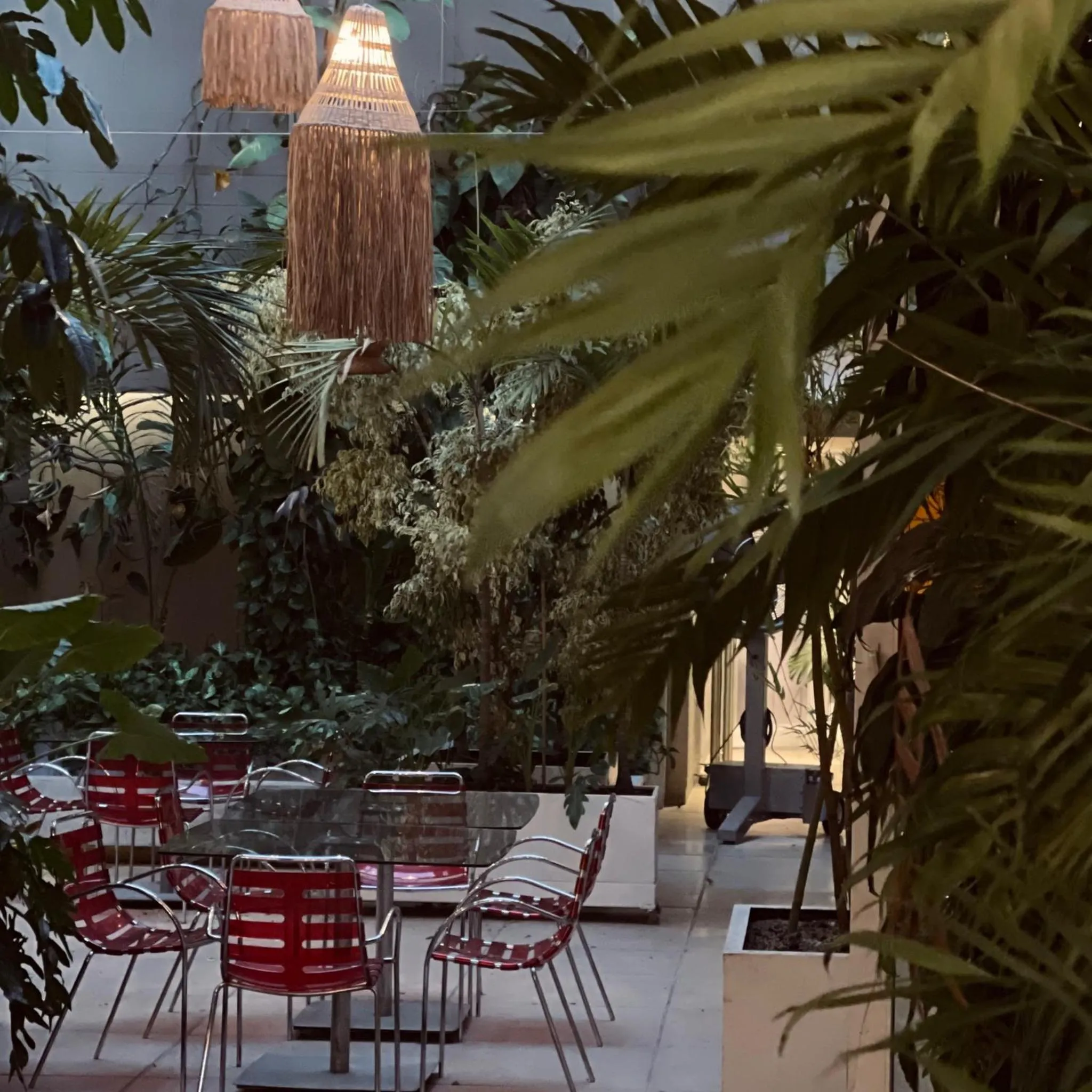 Garden view in Now Hotel Cali