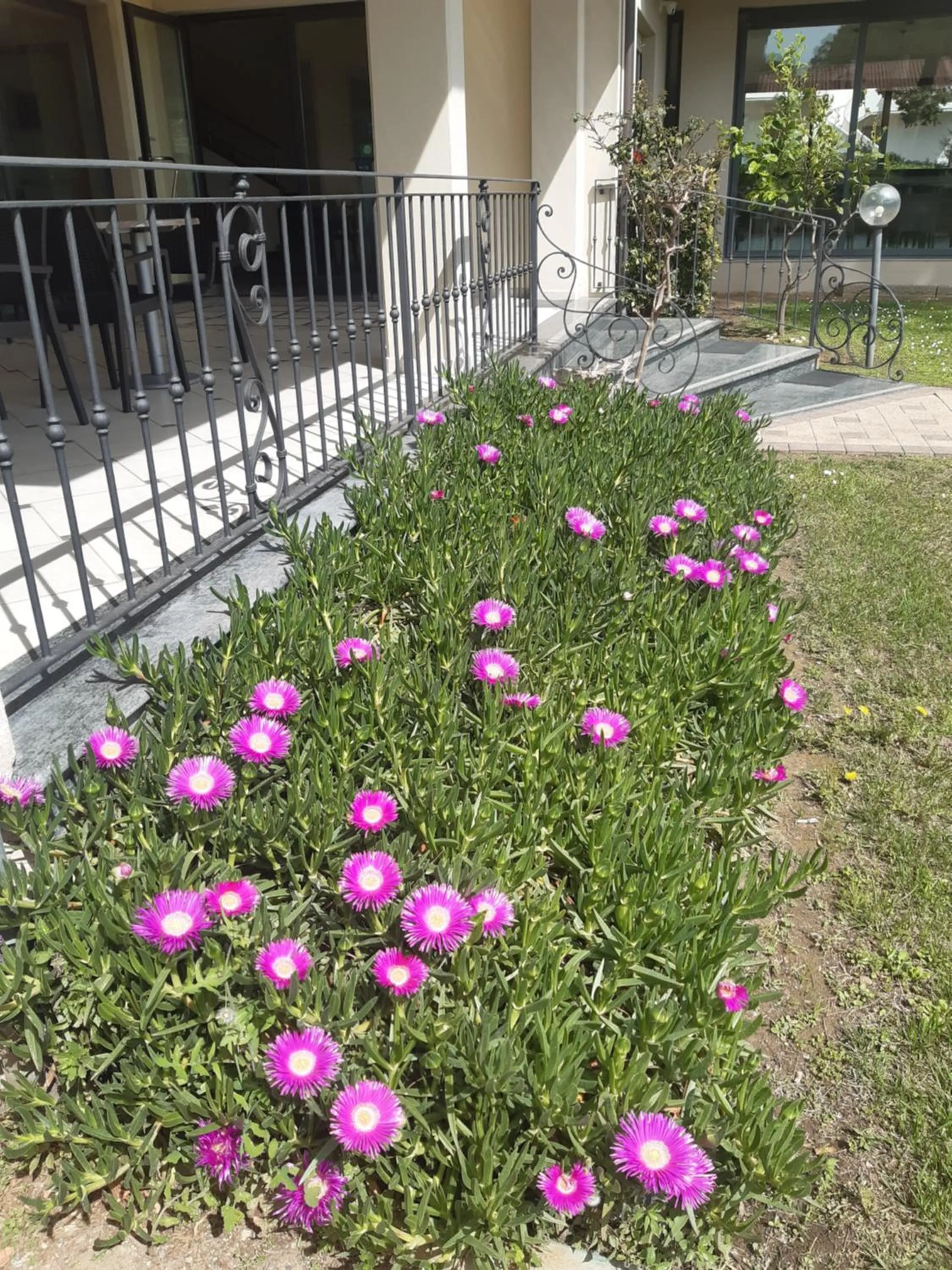 Hotel Flora