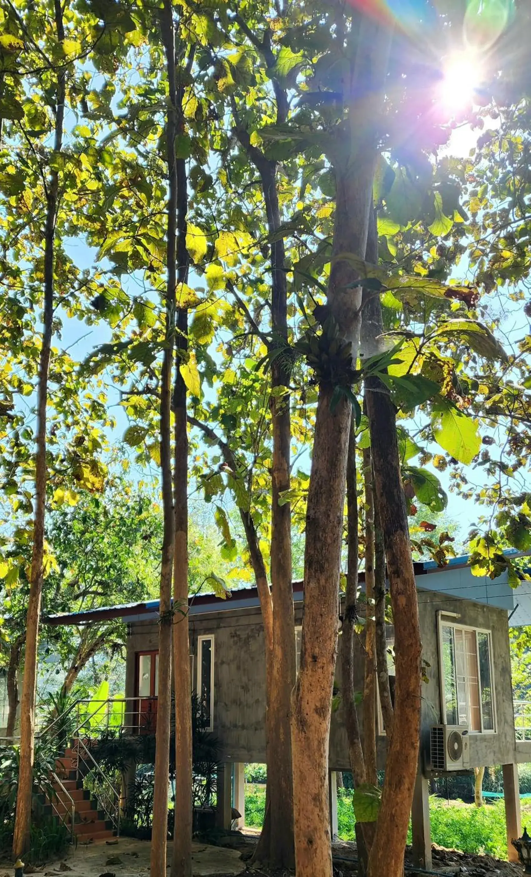 Family Room with Lake View in Rimtharnn Homestay Maewin Family Room with Lake View in Rimtharnn Homestay Maewin