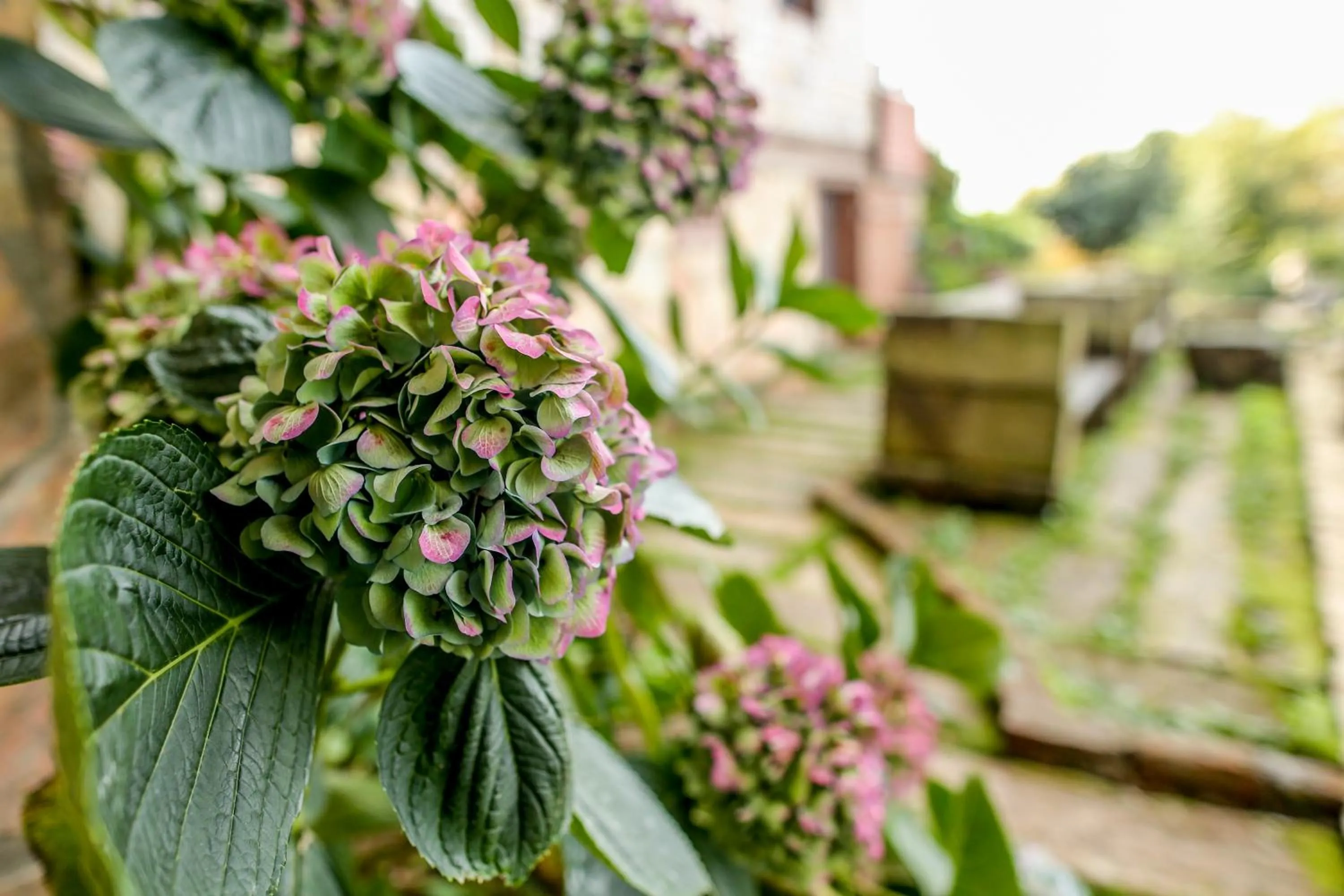 Kaf Dagi Konak Hotel