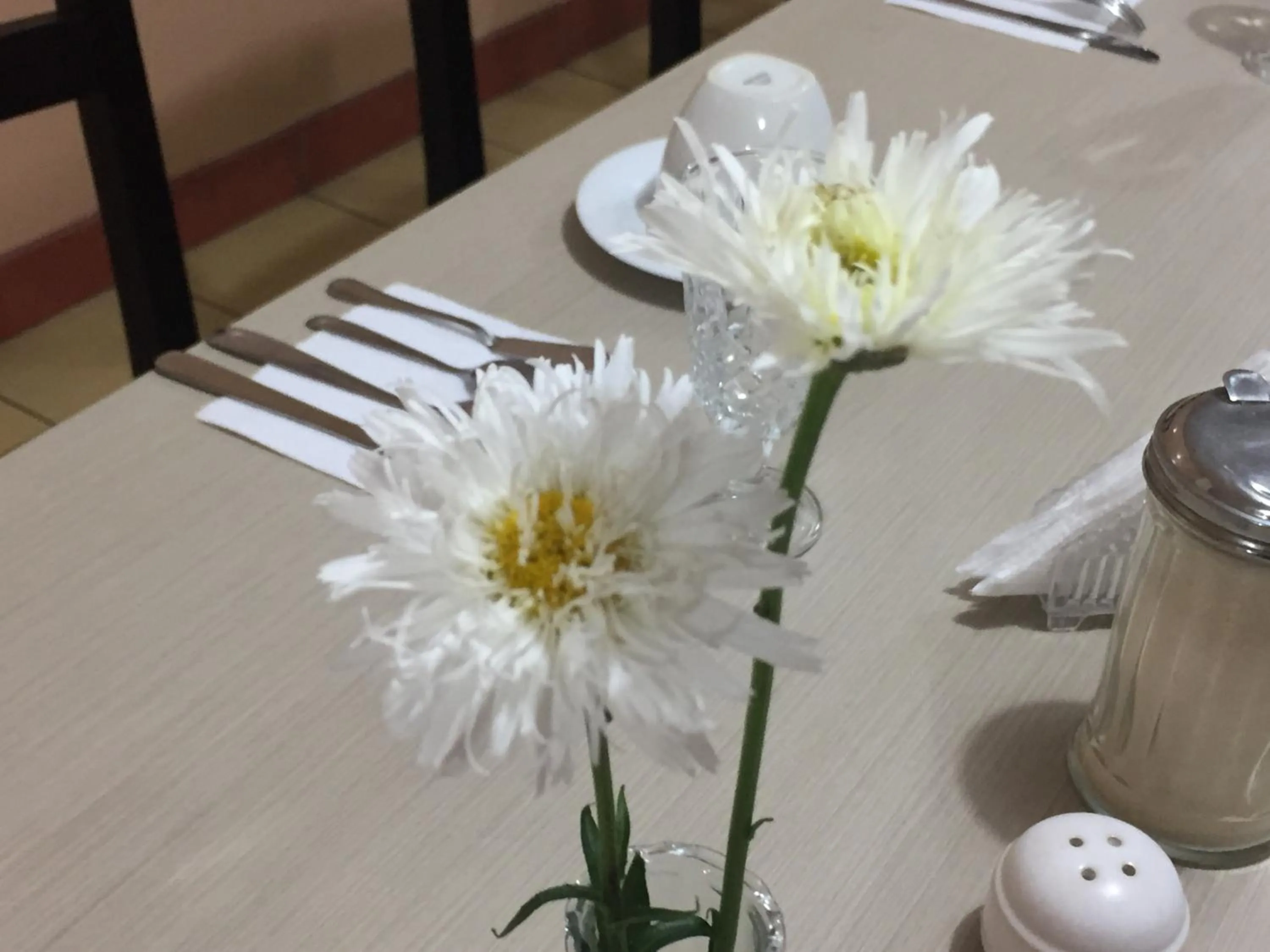 Lounge or bar in Hotel Mediterraneo Quito