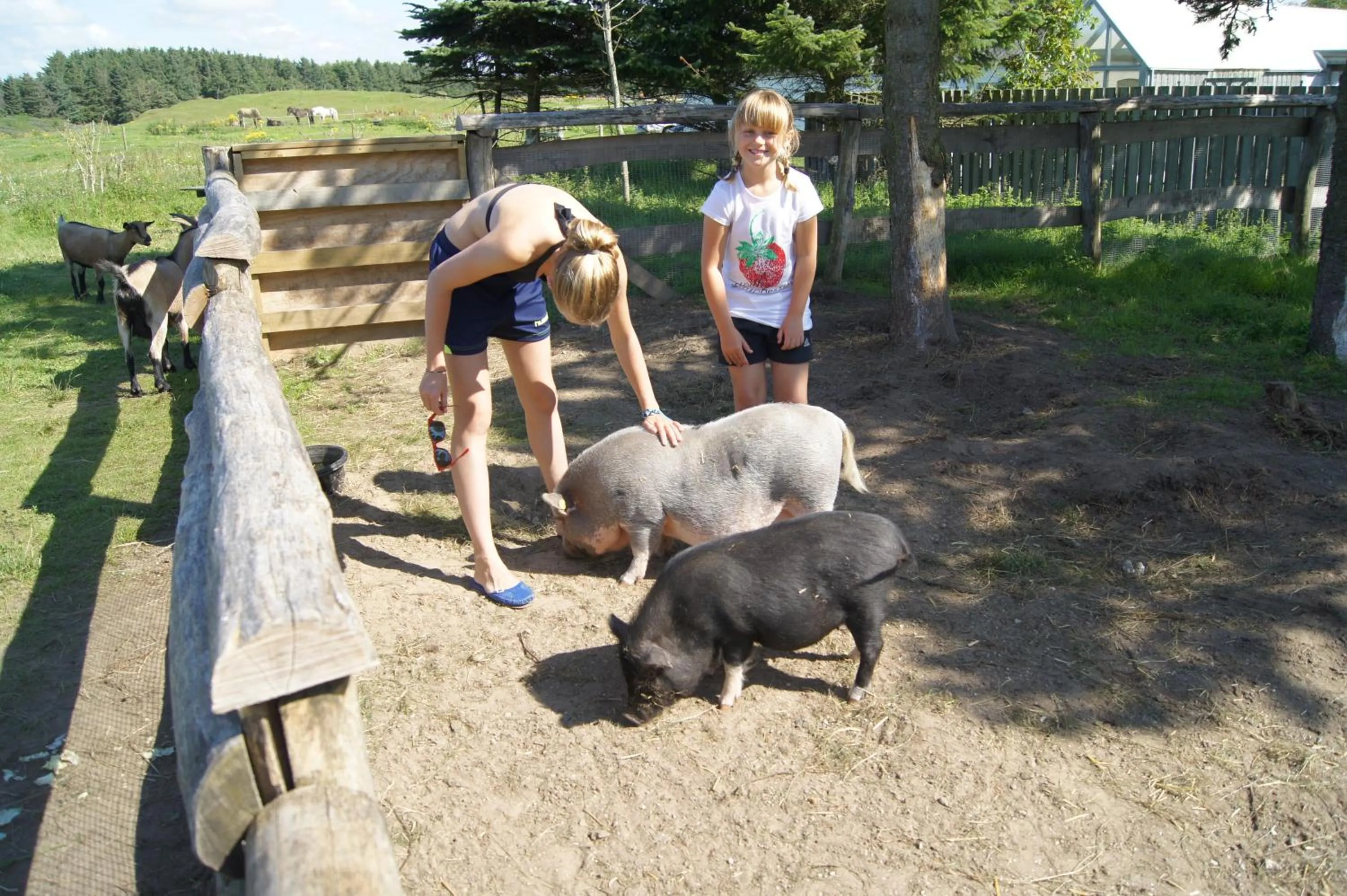 Kids's club in Gl. Klitgaard Camping & Cottages