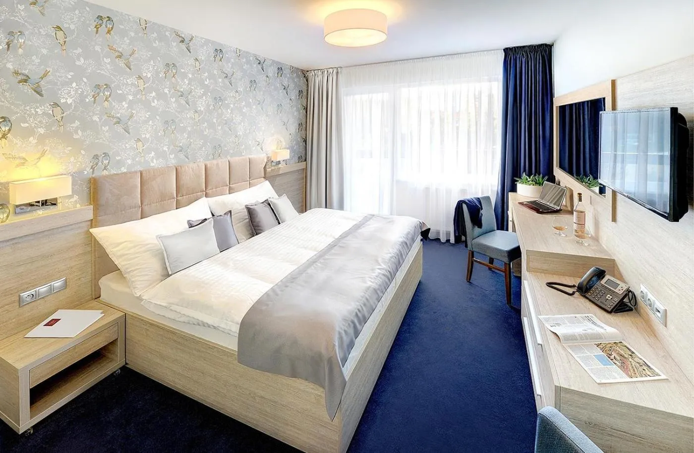 Business Double Room - single occupancy in Hotel Park