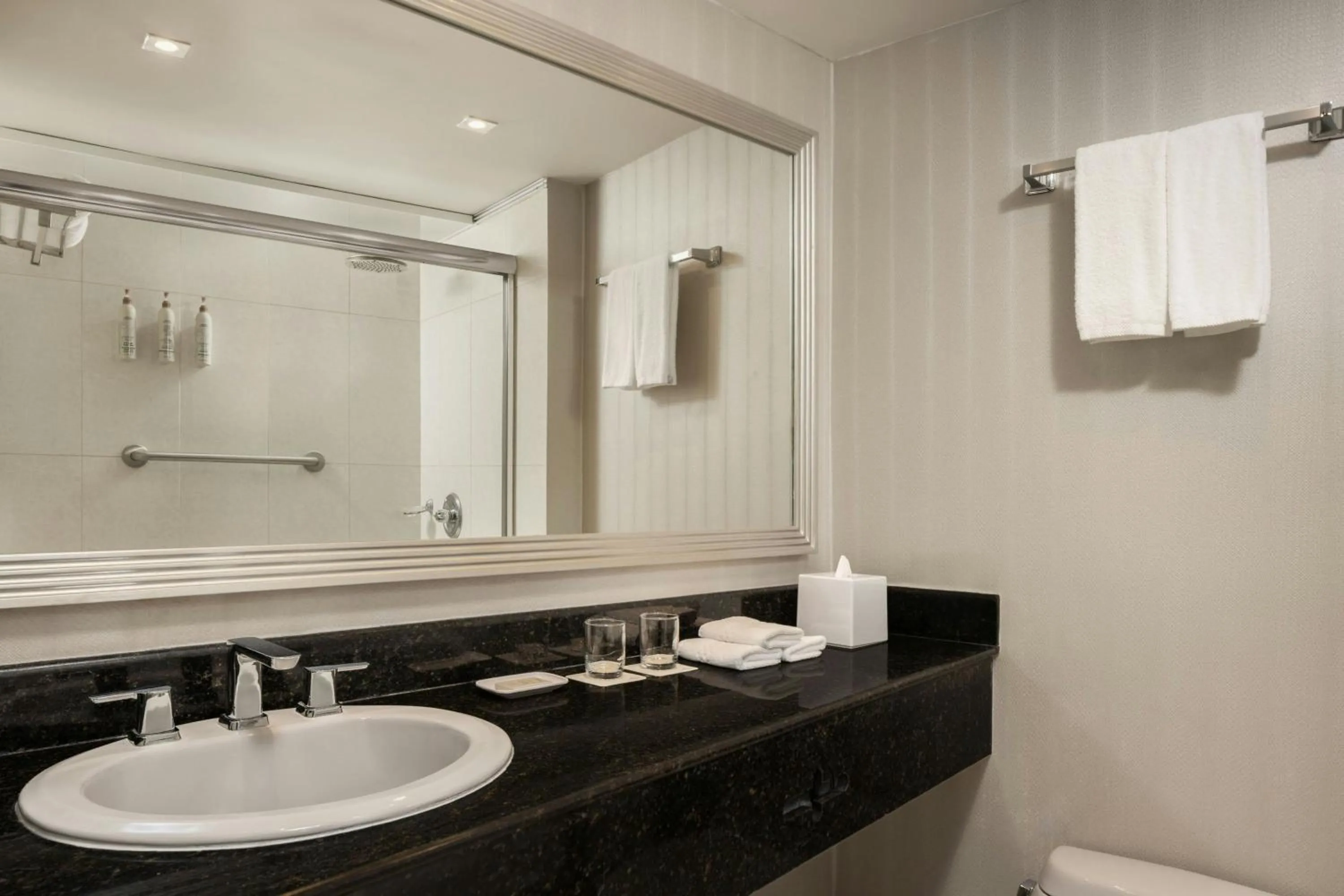 Bathroom in Renaissance Panama City Hotel