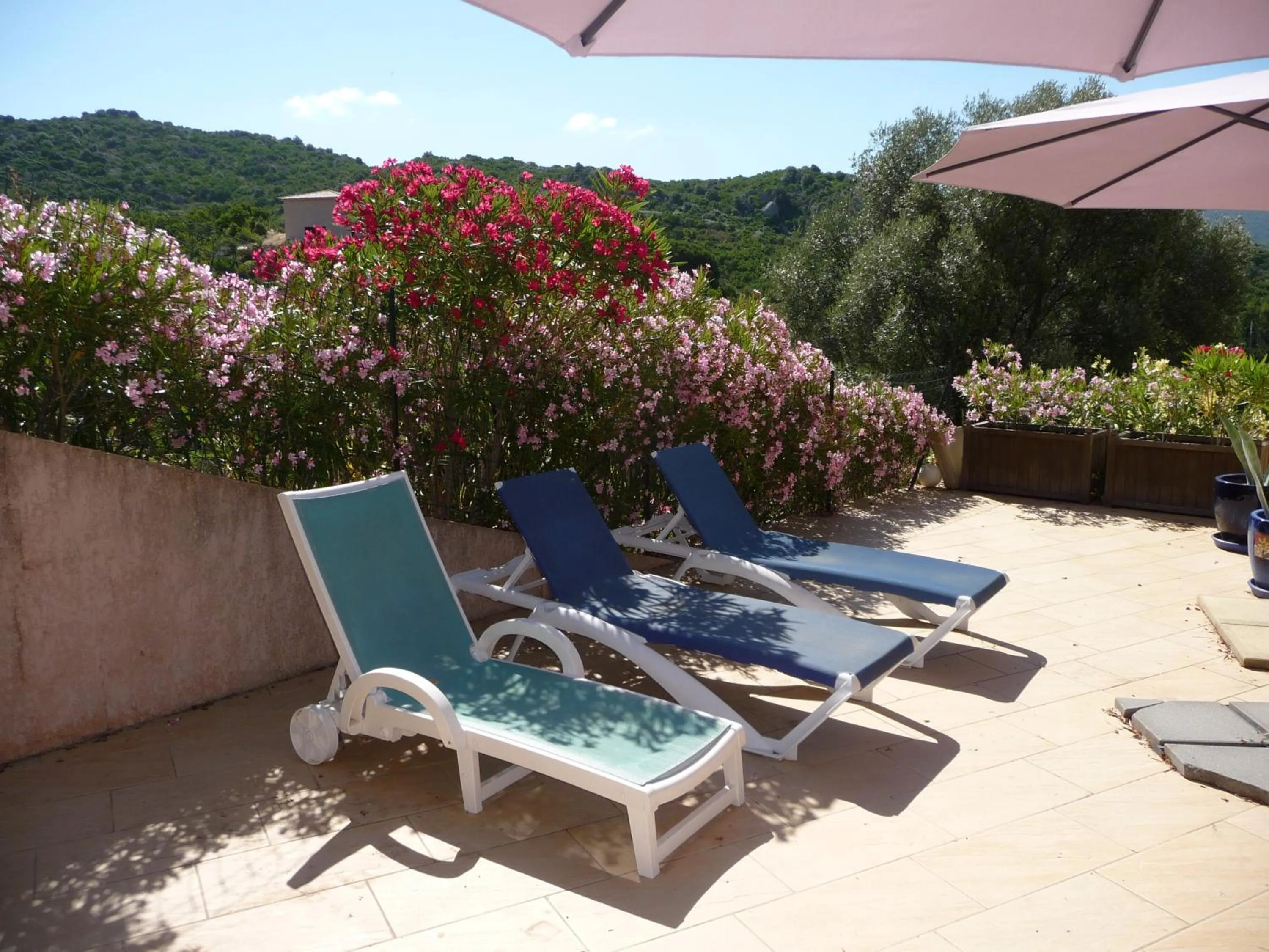 sunbed in Corse Villa Porticcio vue Mer