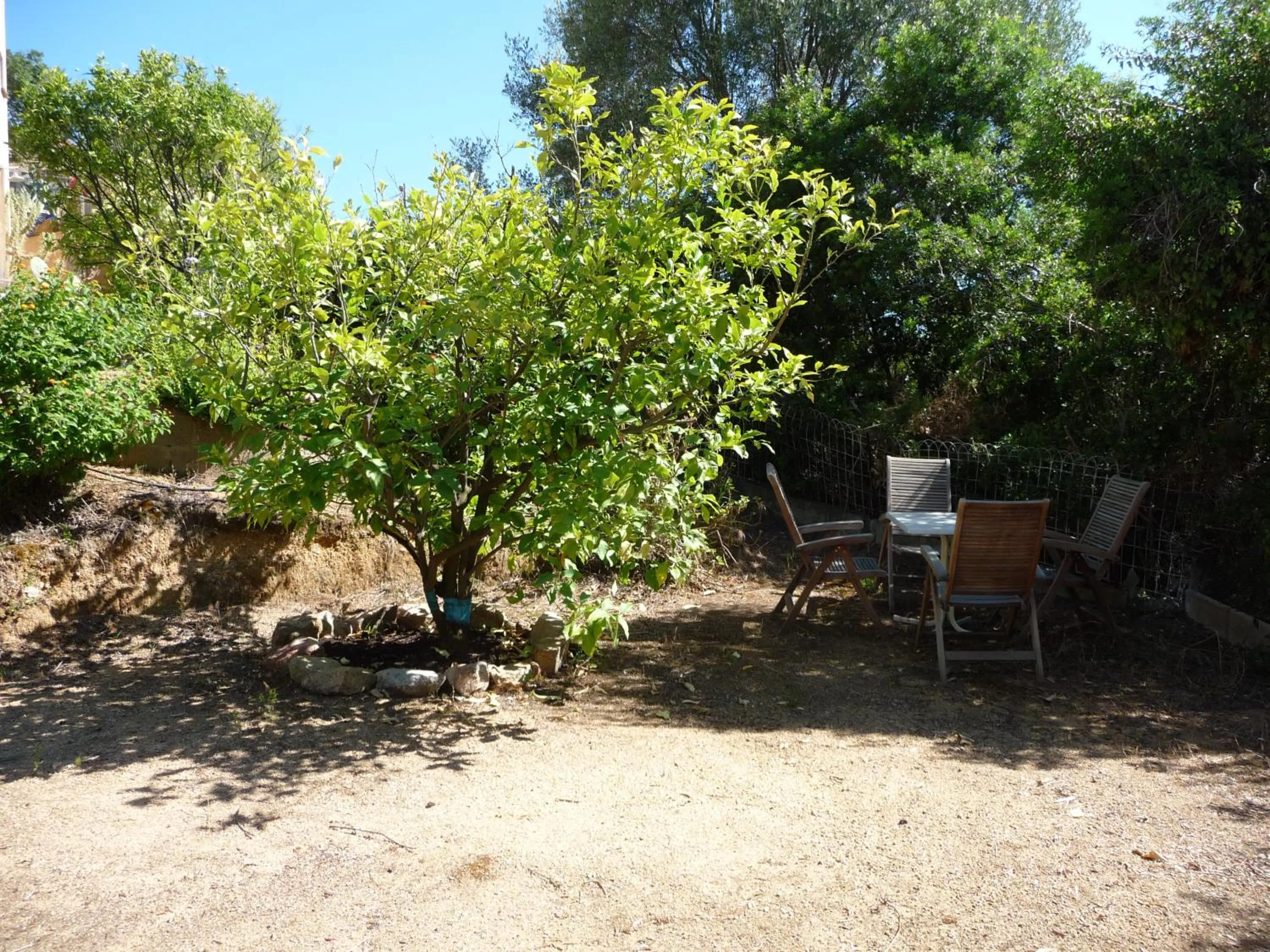 Garden view in Corse Villa Porticcio vue Mer