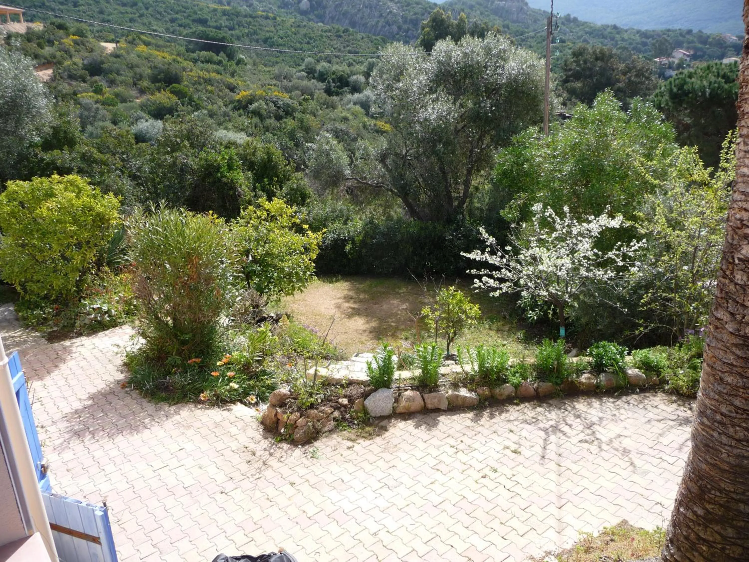 Garden view in Corse Villa Porticcio vue Mer