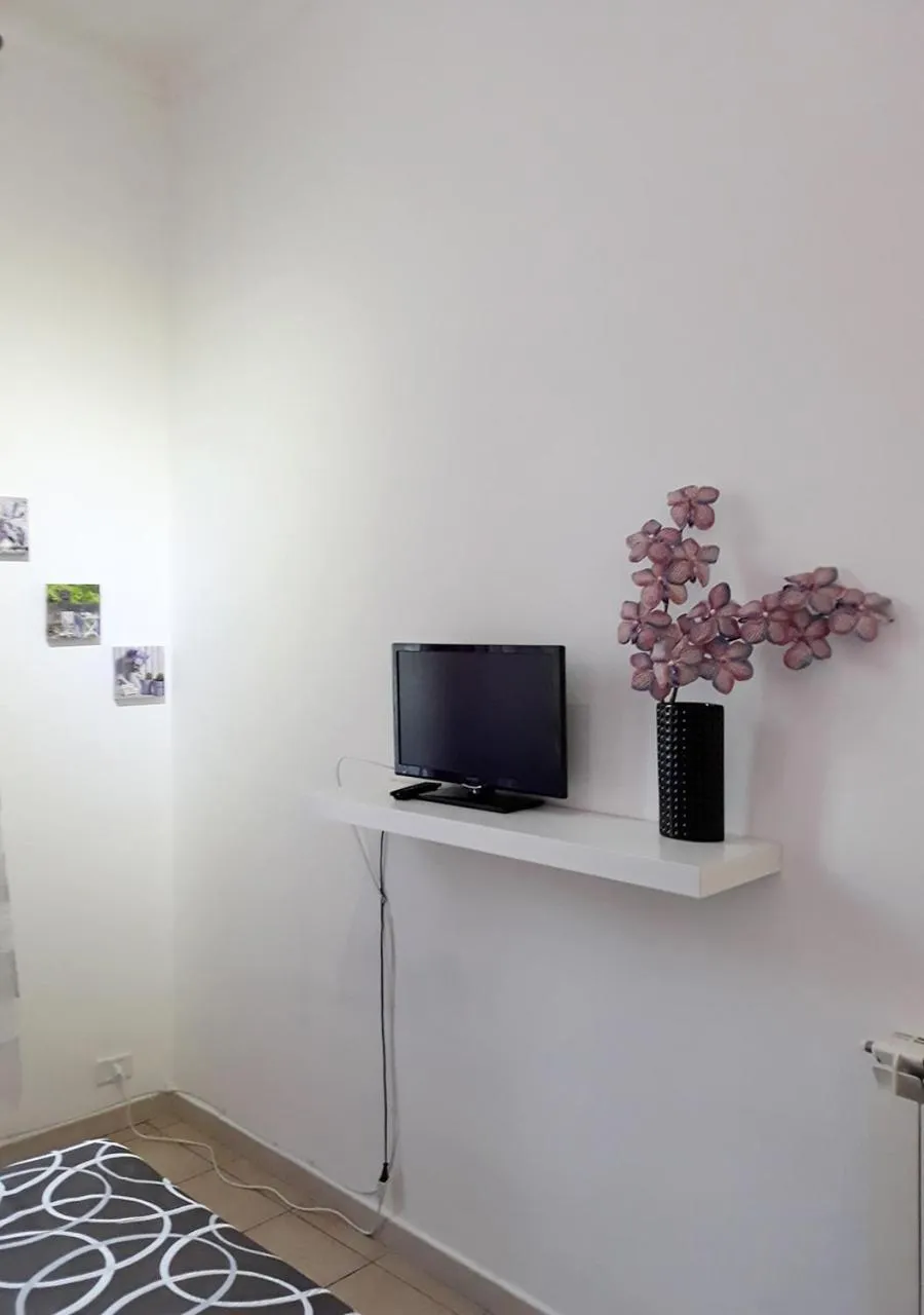 Decorative detail in Il sole del Vaticano