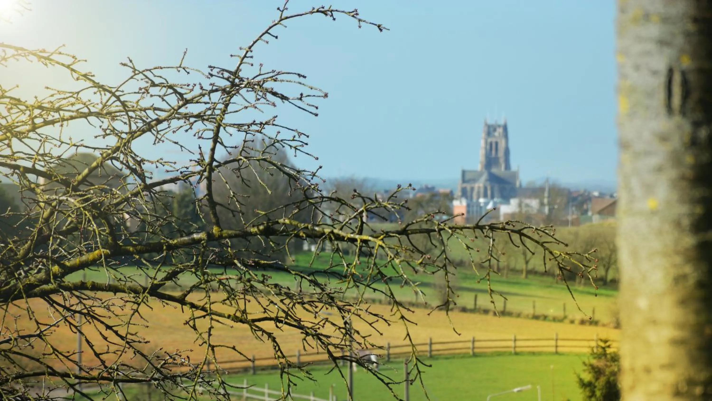Natural landscape in Liry's Home