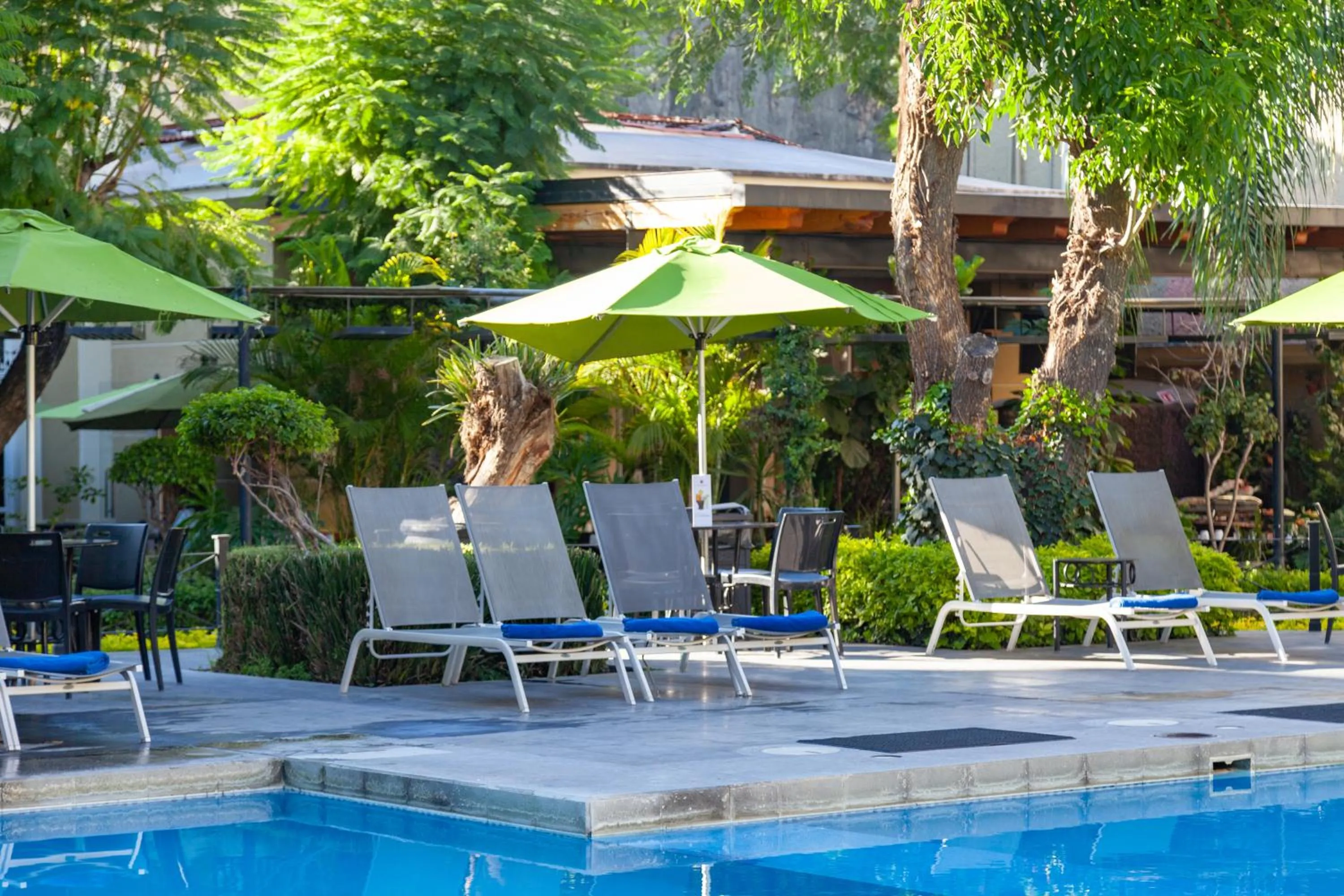 Garden in Plaza Camelinas Hotel