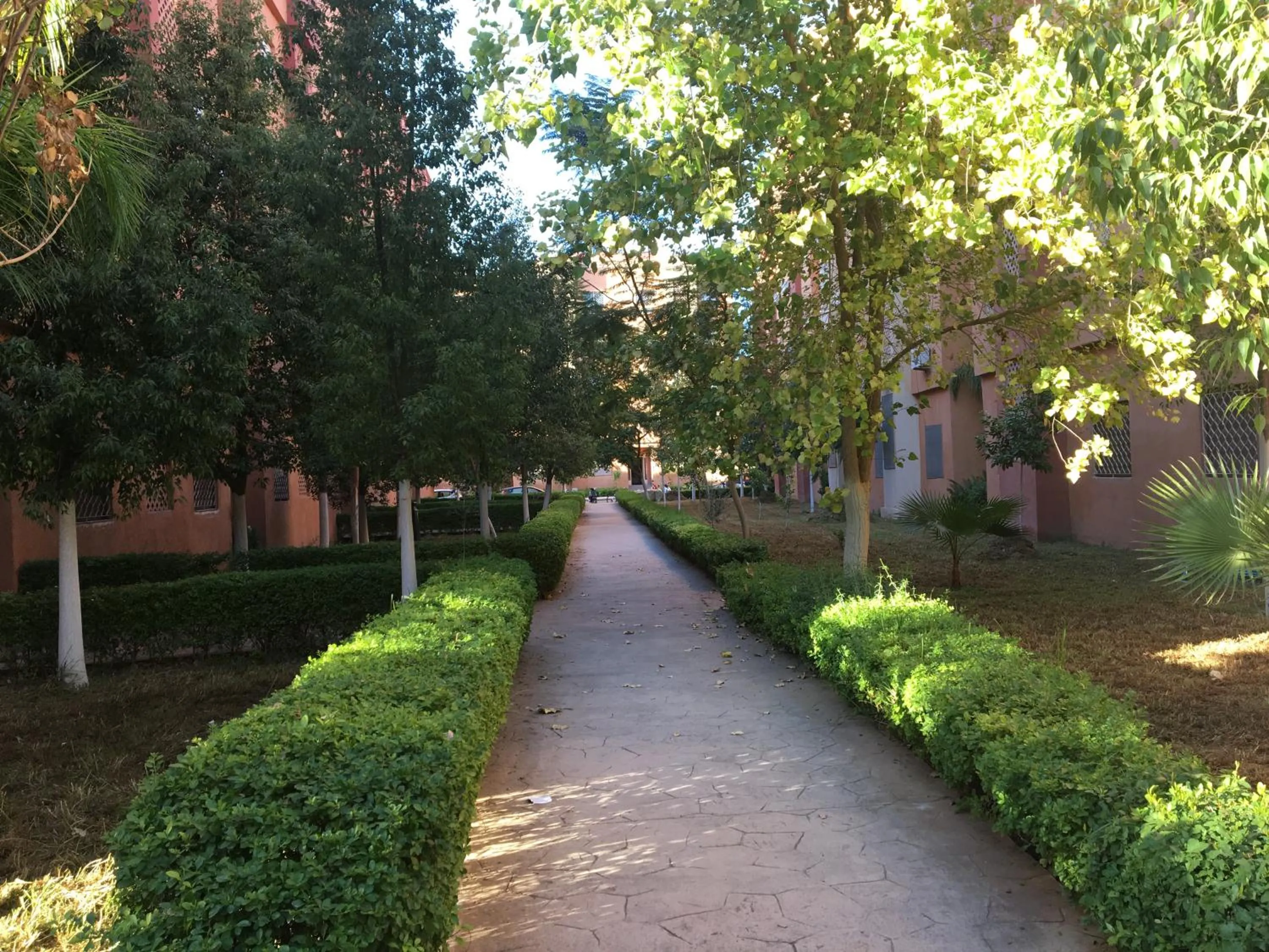 Property building in Theresa apartments
