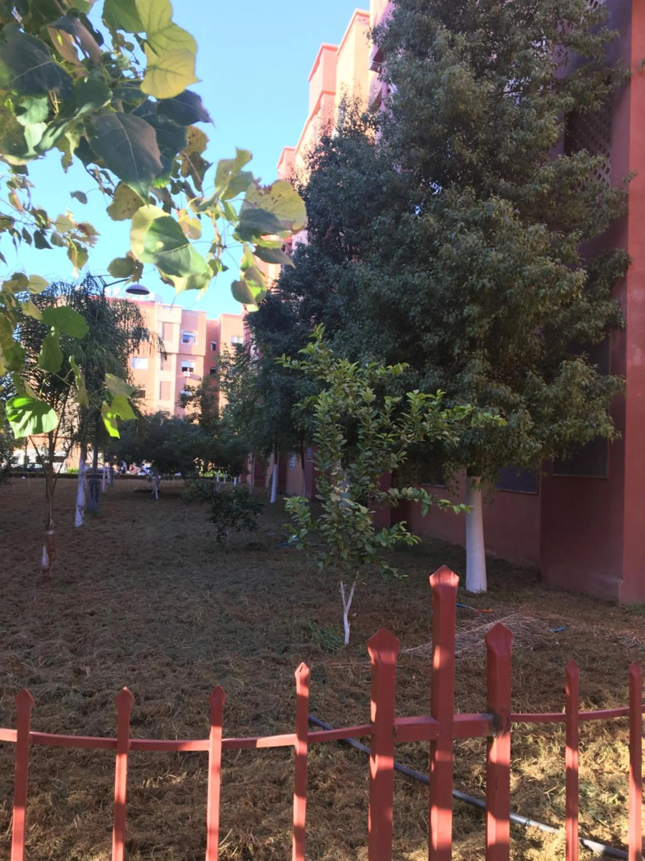 Theresa apartments
